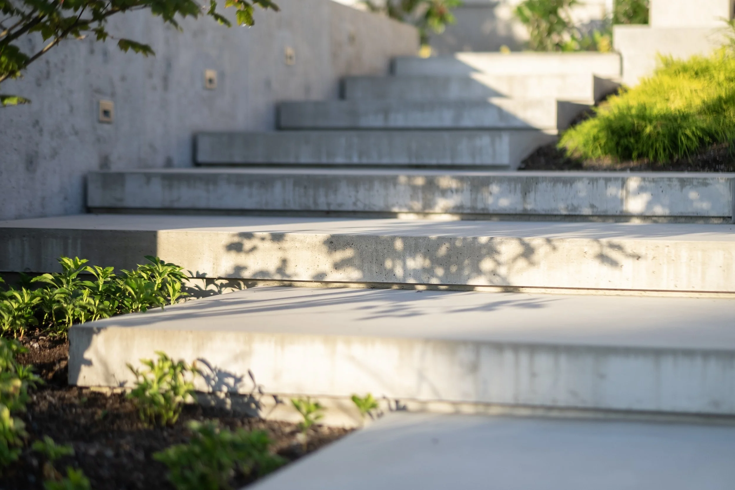 imuchan DSCF9983 3000x2000.jpg