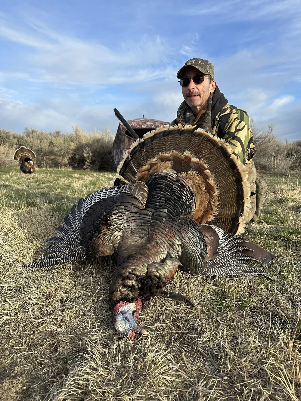A man in camouflage clothing and sunglasses kneels on the grass next to a large wild turkey he has hunted, with the turkey laying on the ground in front of him. Another hunter is visible in the background.