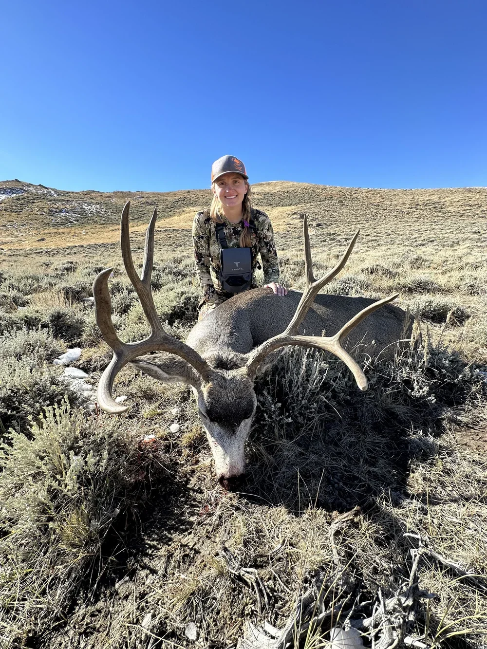 A woman outdoors kneels behind a large deer with antlers, in a grassy and hilly landscape under a clear blue sky.