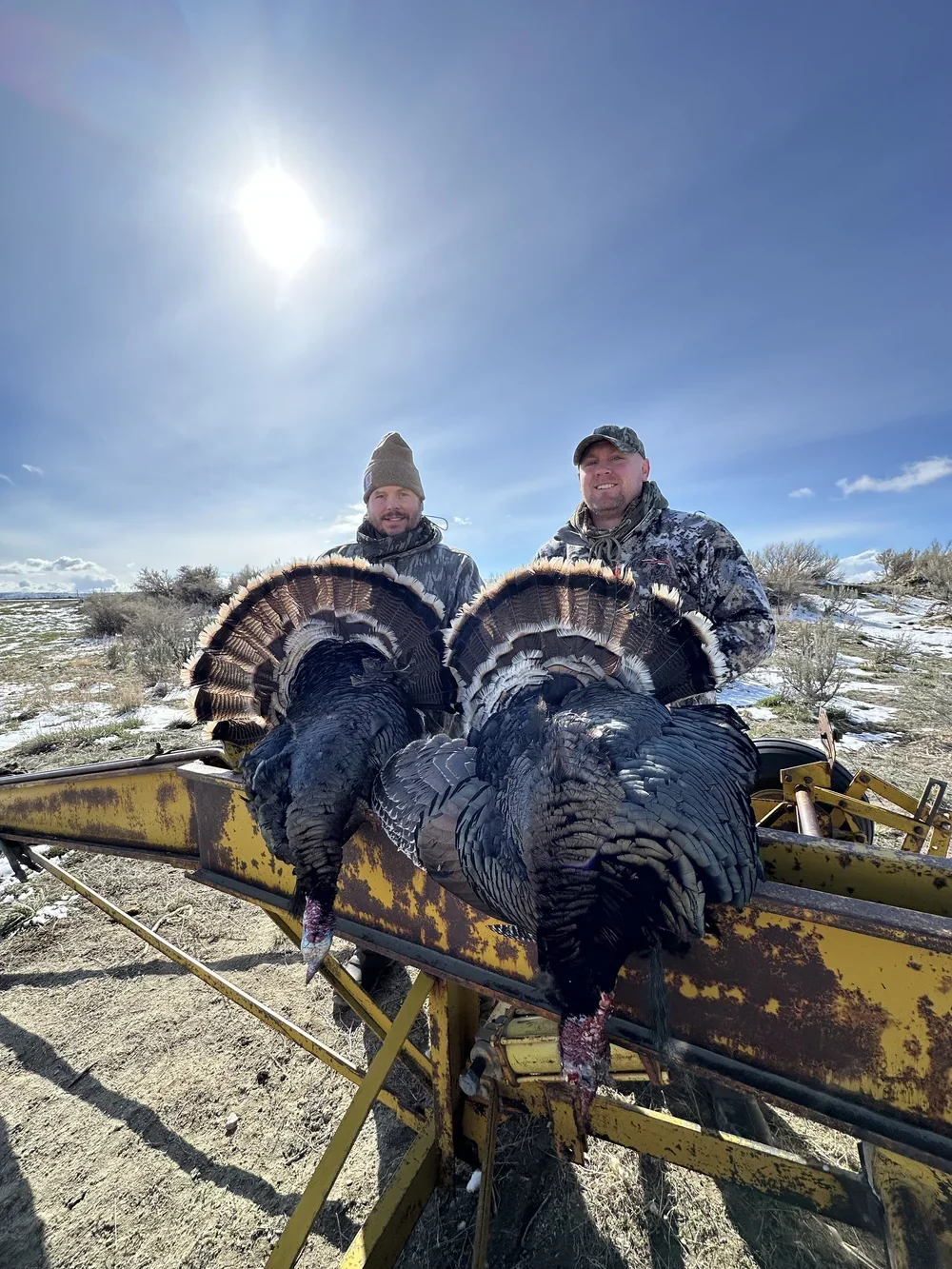Two hunters standing outdoors in a snowy landscape, holding large wild turkeys on a yellow cart, under a bright sun and clear blue sky.