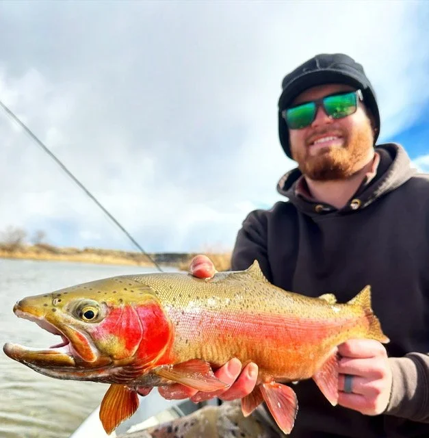 Man in black hoodie and sunglasses holding a large rainbow trout with a cloudy sky in the background.