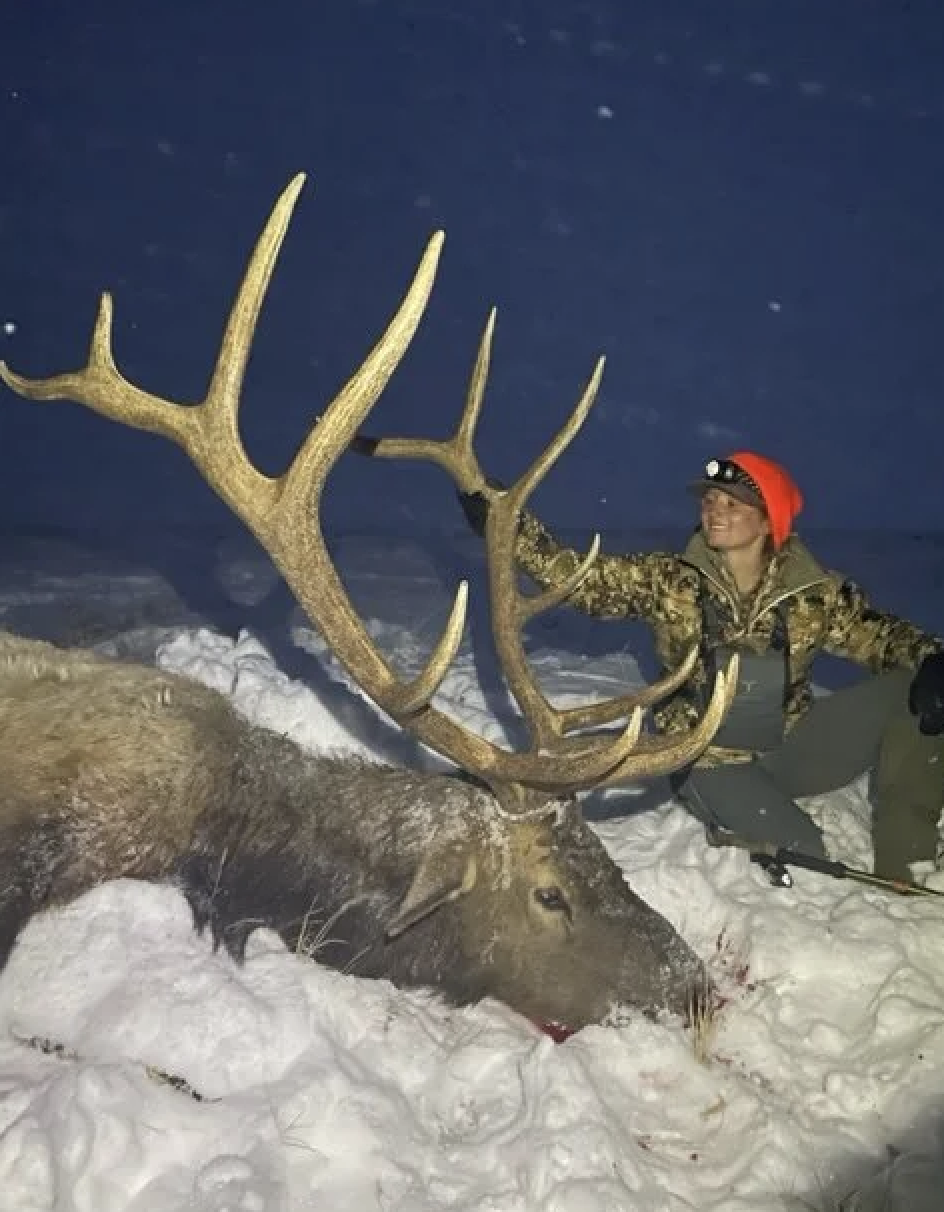 Hunter in camouflage gear kneeling next to a large elk with impressive antlers lying on snow in a winter landscape at night.