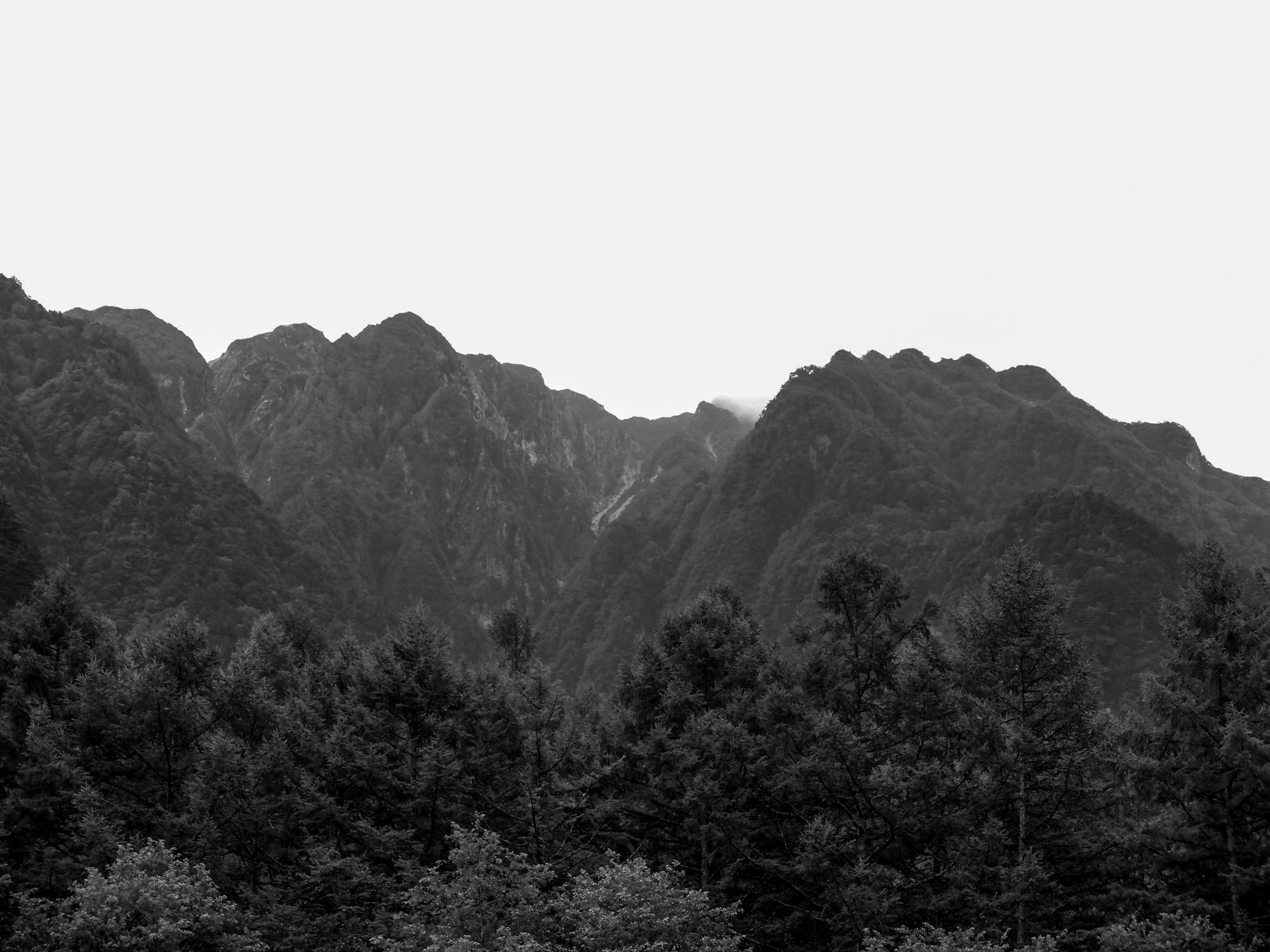 6370 - (format 30x24cm)