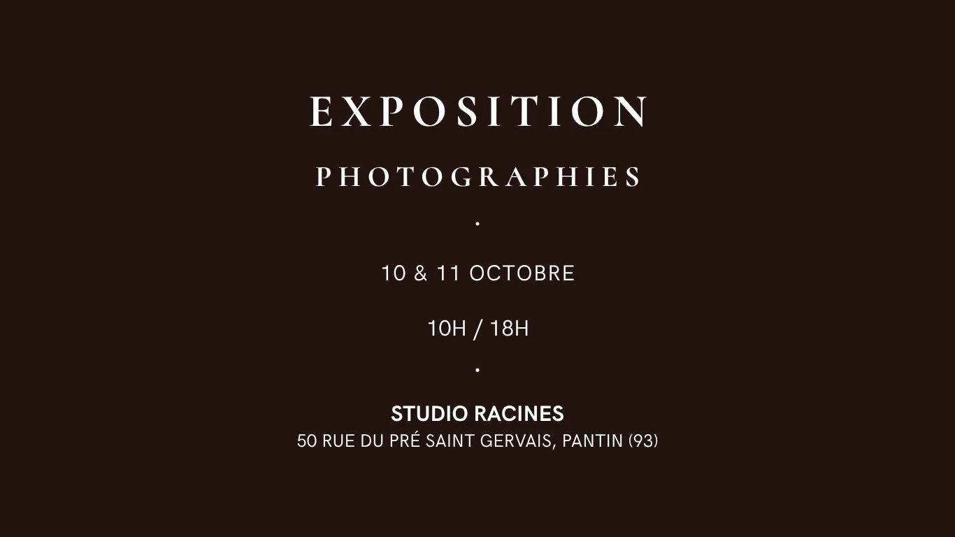 Affiche expo Pantin_2.jpg