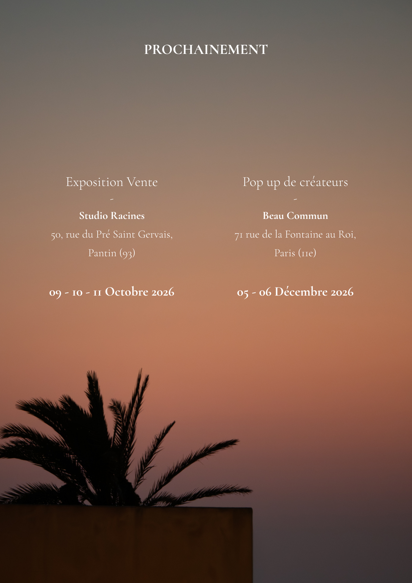 15.png