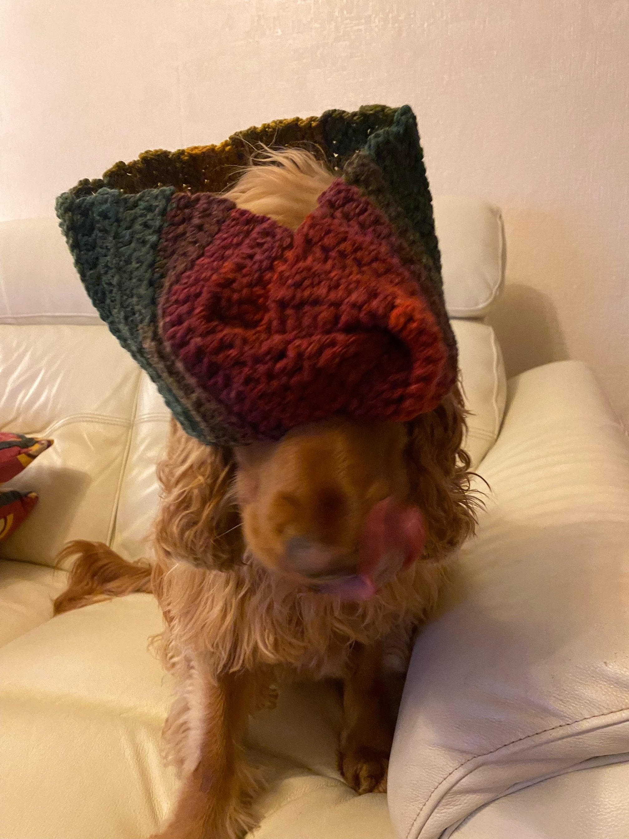 image1 (2).jpeg