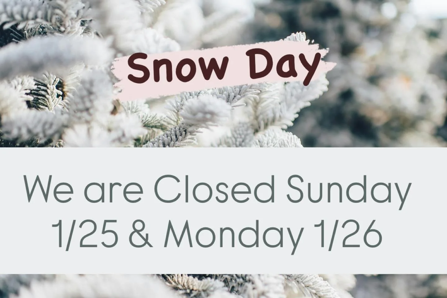 The studio will be closed all day Sunday and Monday. Stay safe everyone! We are looking forward to the beauty and silence of the snowstorm ❄️🌨️ Stay safe 💙