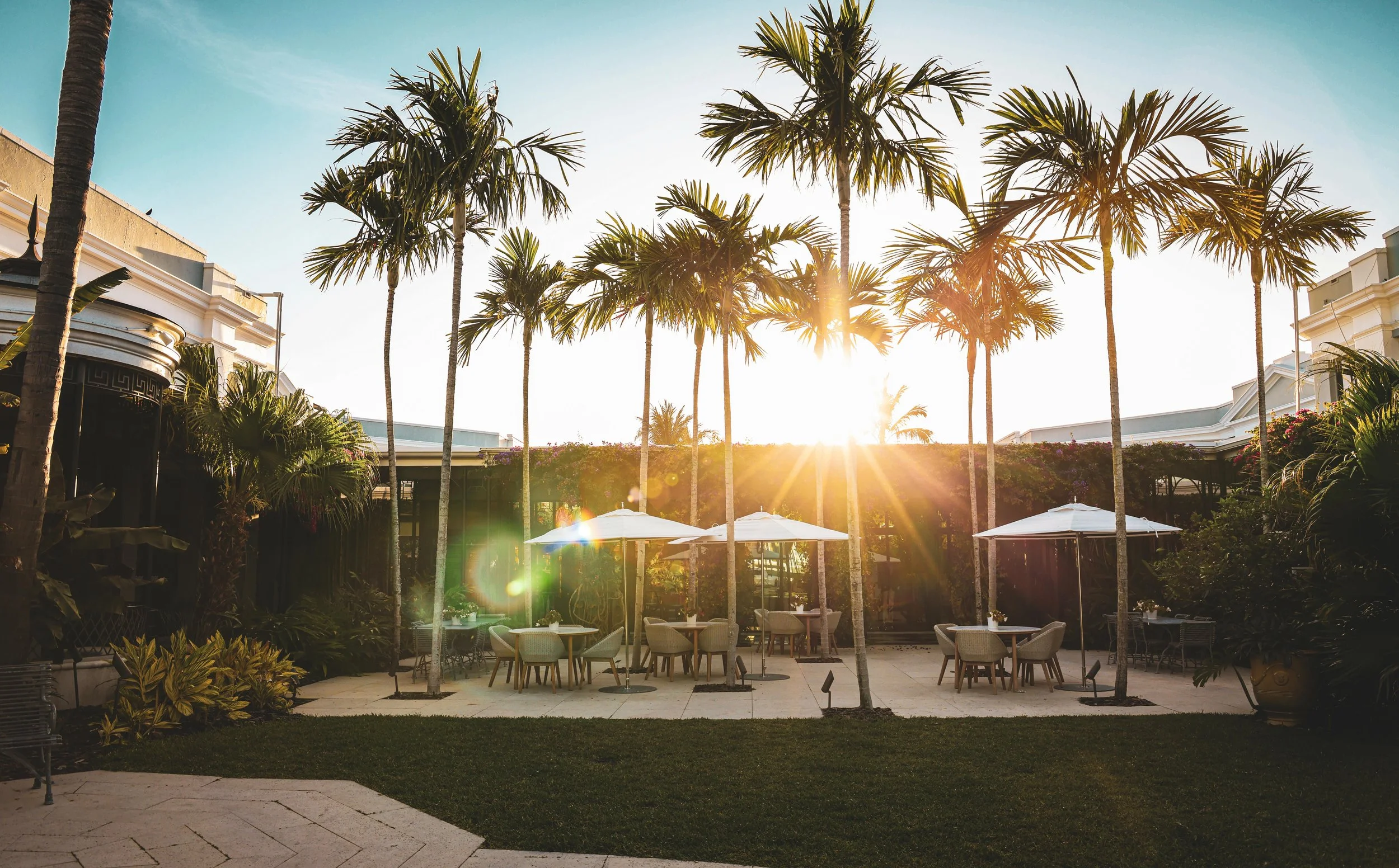 Morning Sun-compressed.jpg