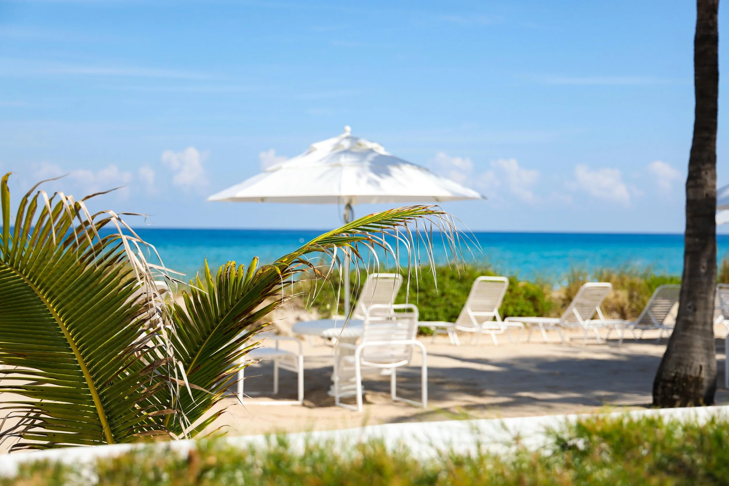 Ocean View-compressed.jpg