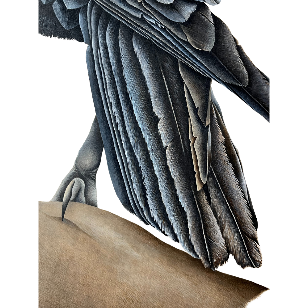 Tail and right foot.png