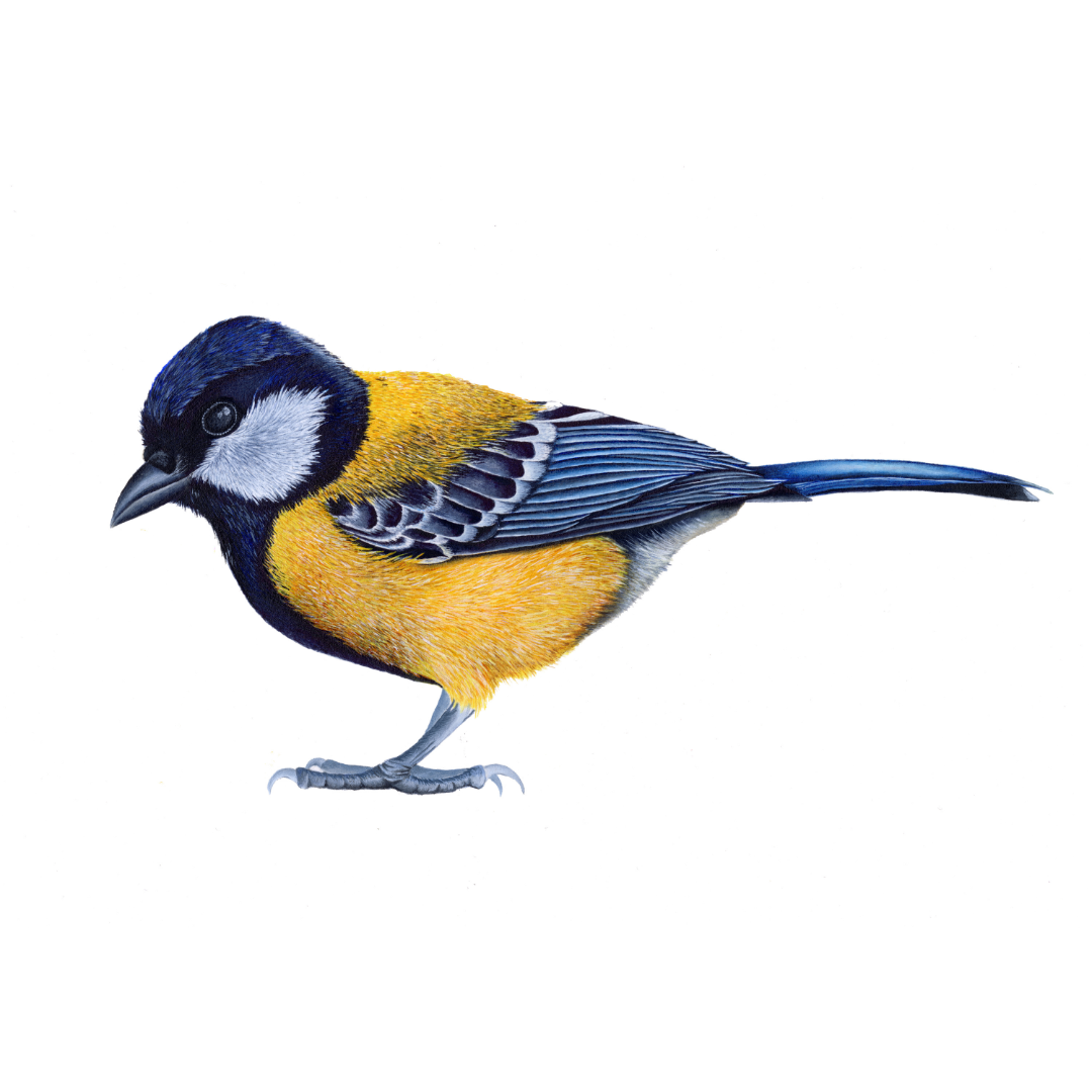 test.png