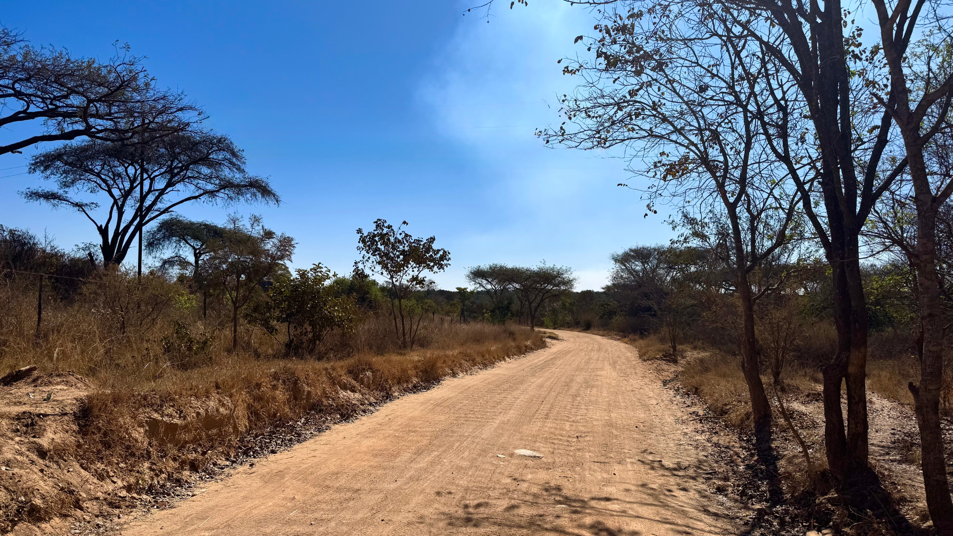 Zimbabwe Pathway.png