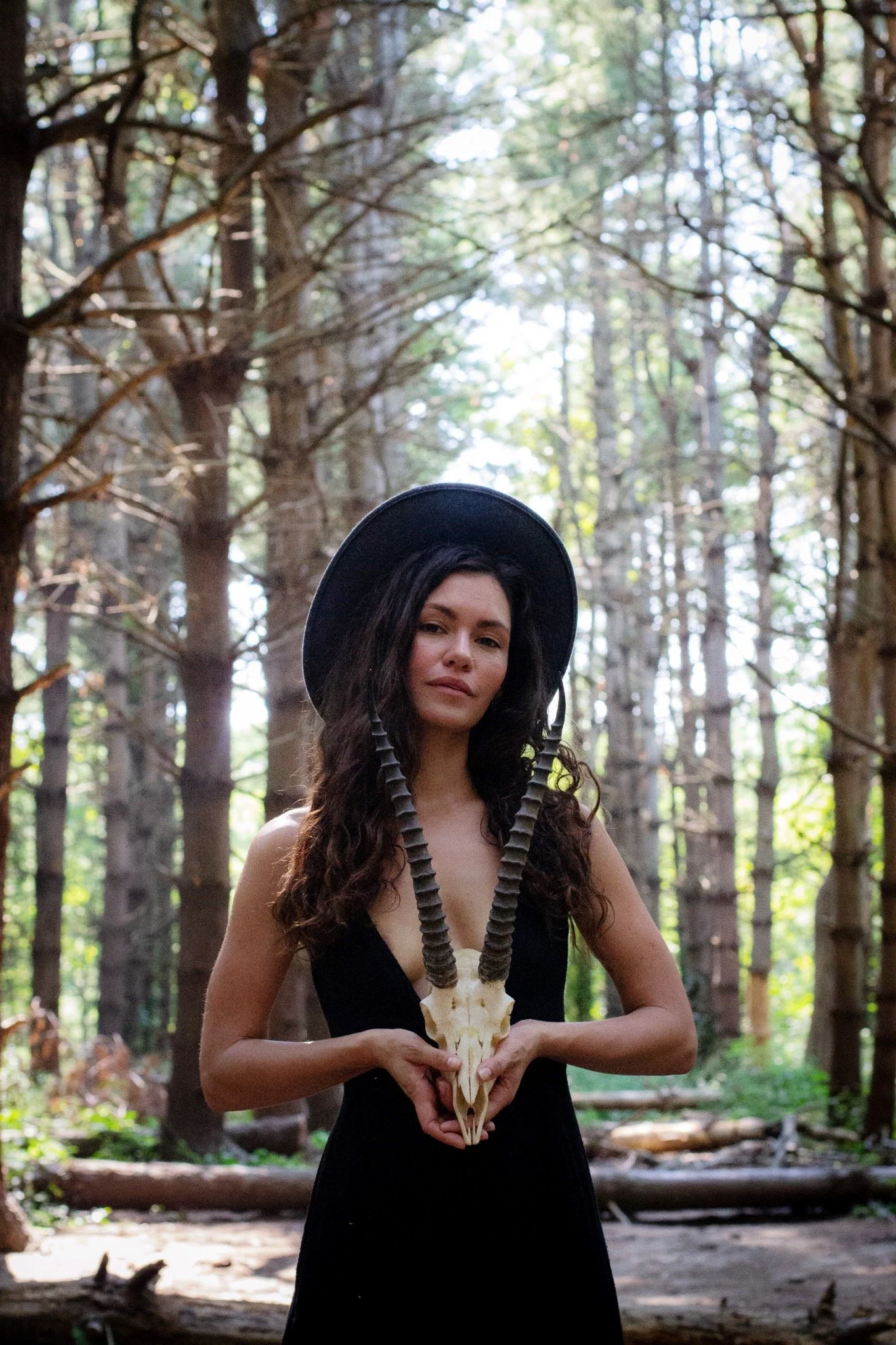 Wren Quinn is a mother, an herbalist, a teacher of yoga therapy, and the creator of Trauma Alchemy, a trauma-informed somatic program. Wren’s latest offerings include Herbal Communion, a course exploring the intricacies of the herbal allies that can 