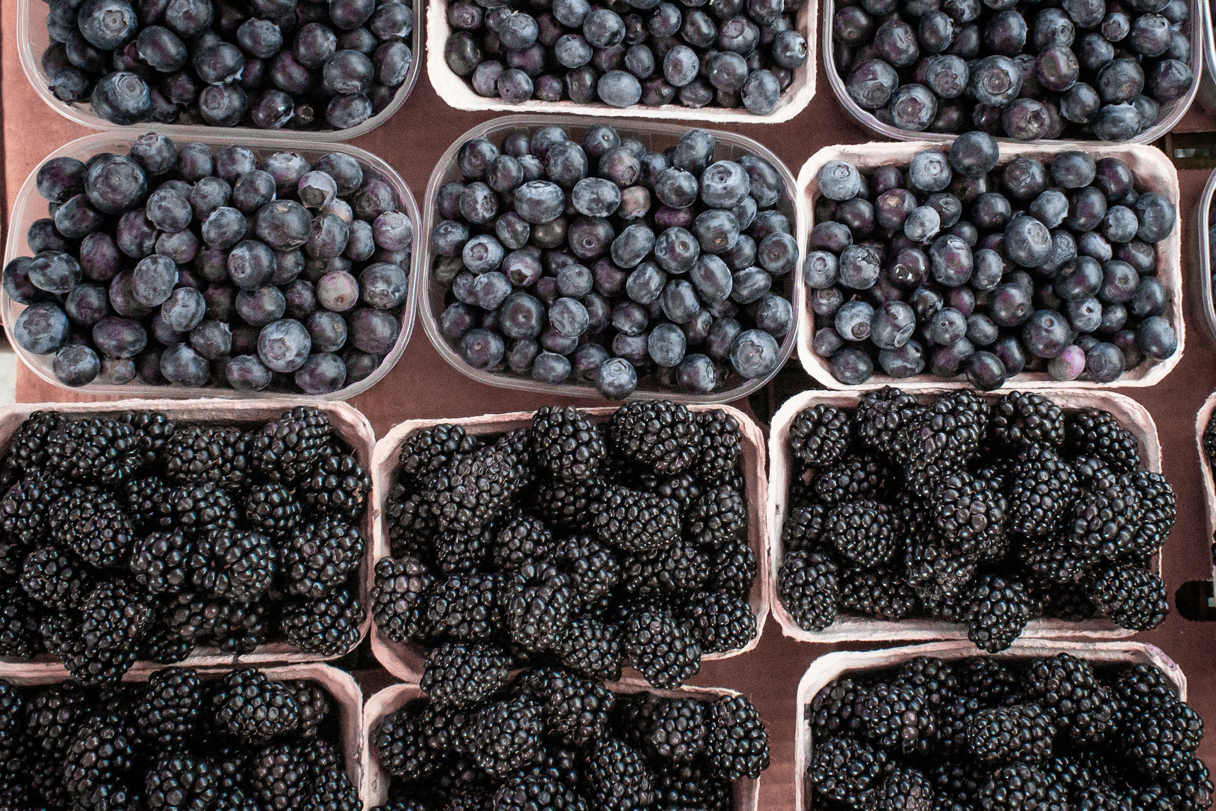 "Pick-Your-Own" Blueberries & Blackberries