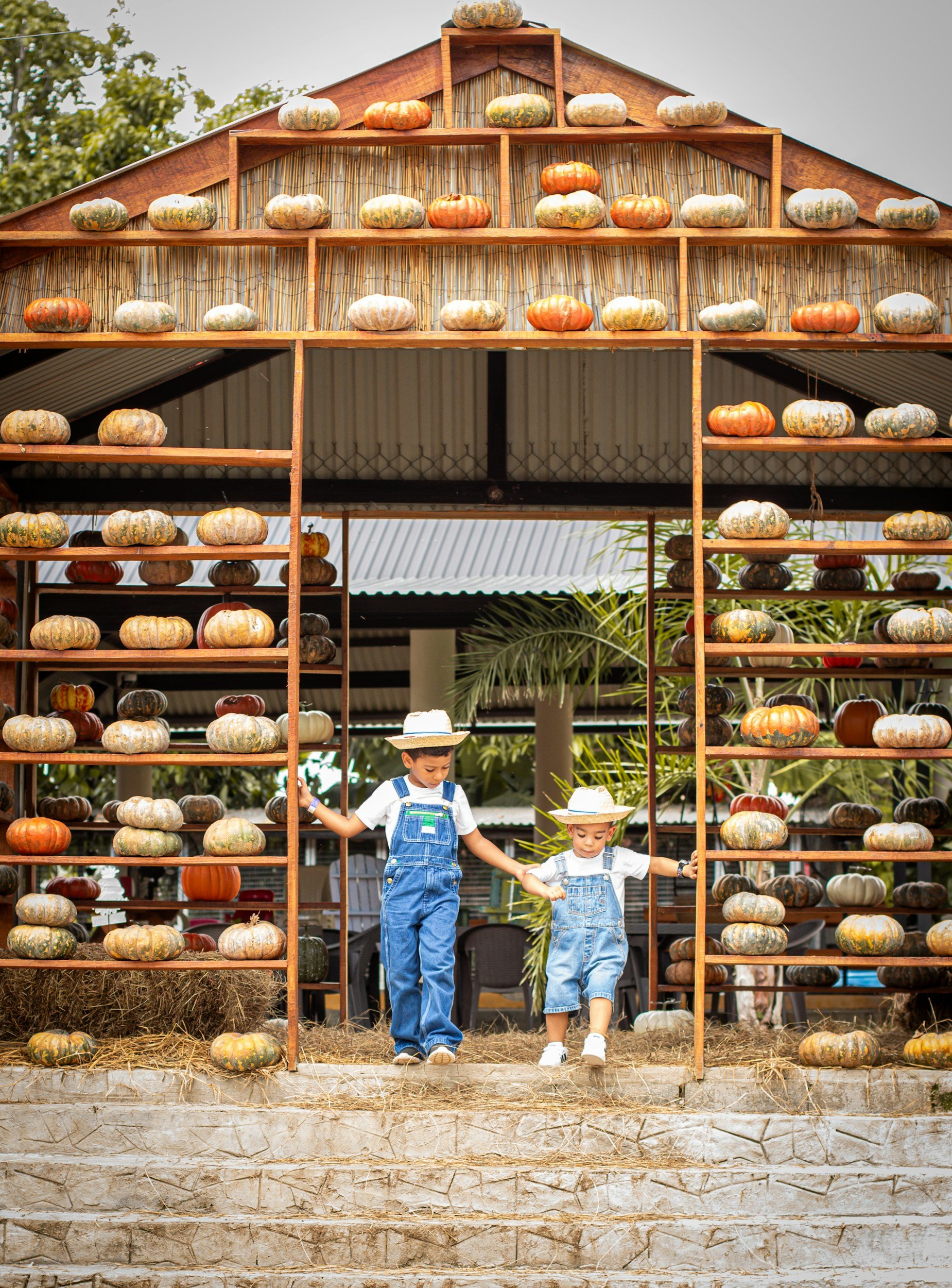 Story Hour at the Farm