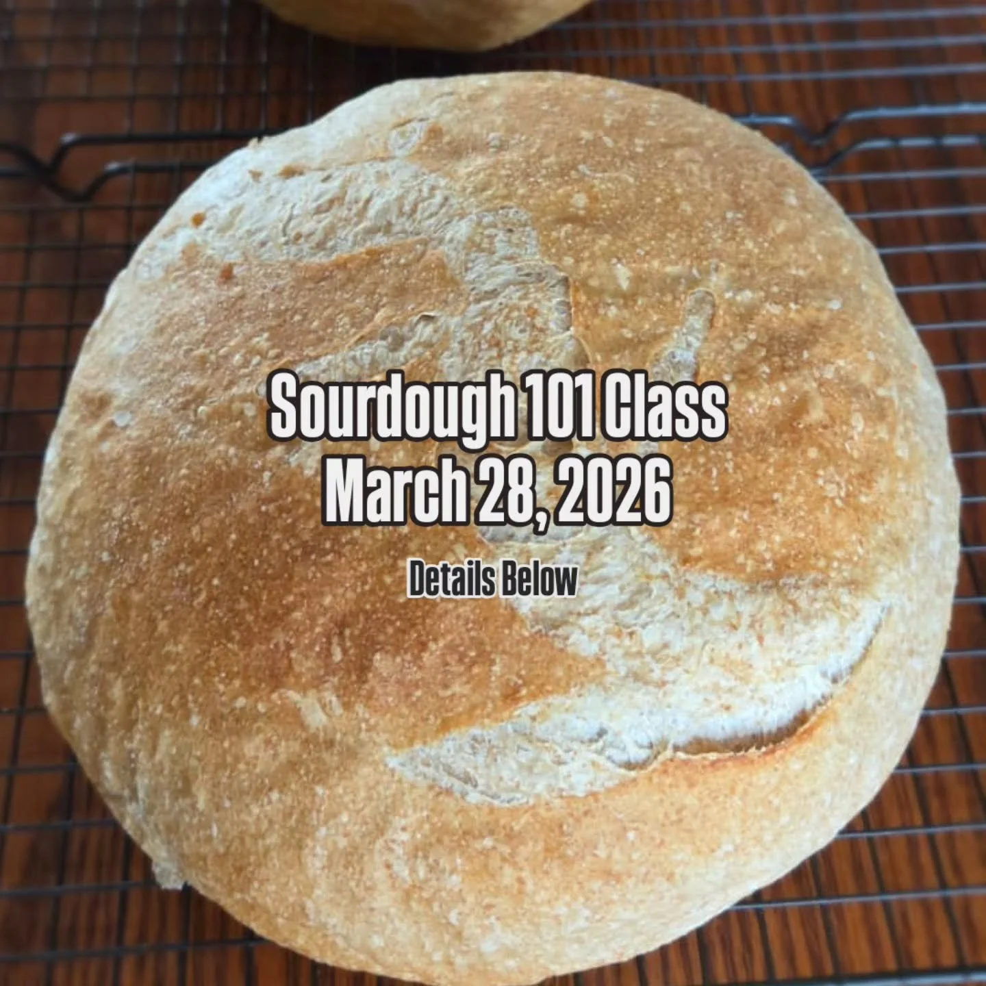 We've been receiving quite a few emails about when we will be offering our second Sourdough 101 Class, so below are the details! 

WHO: This class is for sourdough novices who are looking for in-person instruction.

WHAT: An instructional class led b