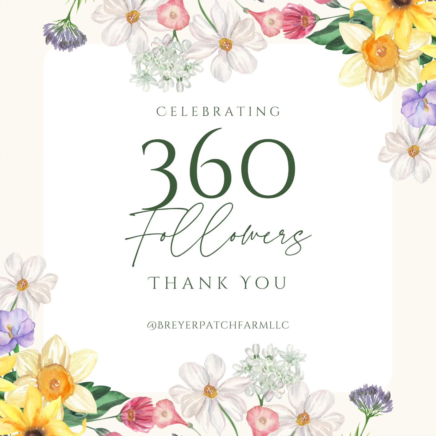 We want to say a huge THANK YOU to everyone who has been following our farming journey - we're super excited for the season ahead and all that God has in store for us! 

#forhisglory #byhisgrace #agritourism #blueberries #organicfarming