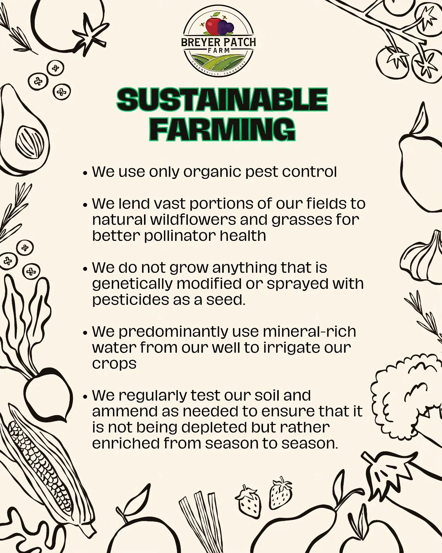 Not USDA certified (for so many reasons), BUT we have peace of mind knowing that our land is worked to the best of our ability, using resources that replenish and amend rather than deplete and destroy. 

That's the Breyer Patch Way.

#sustainable #fa