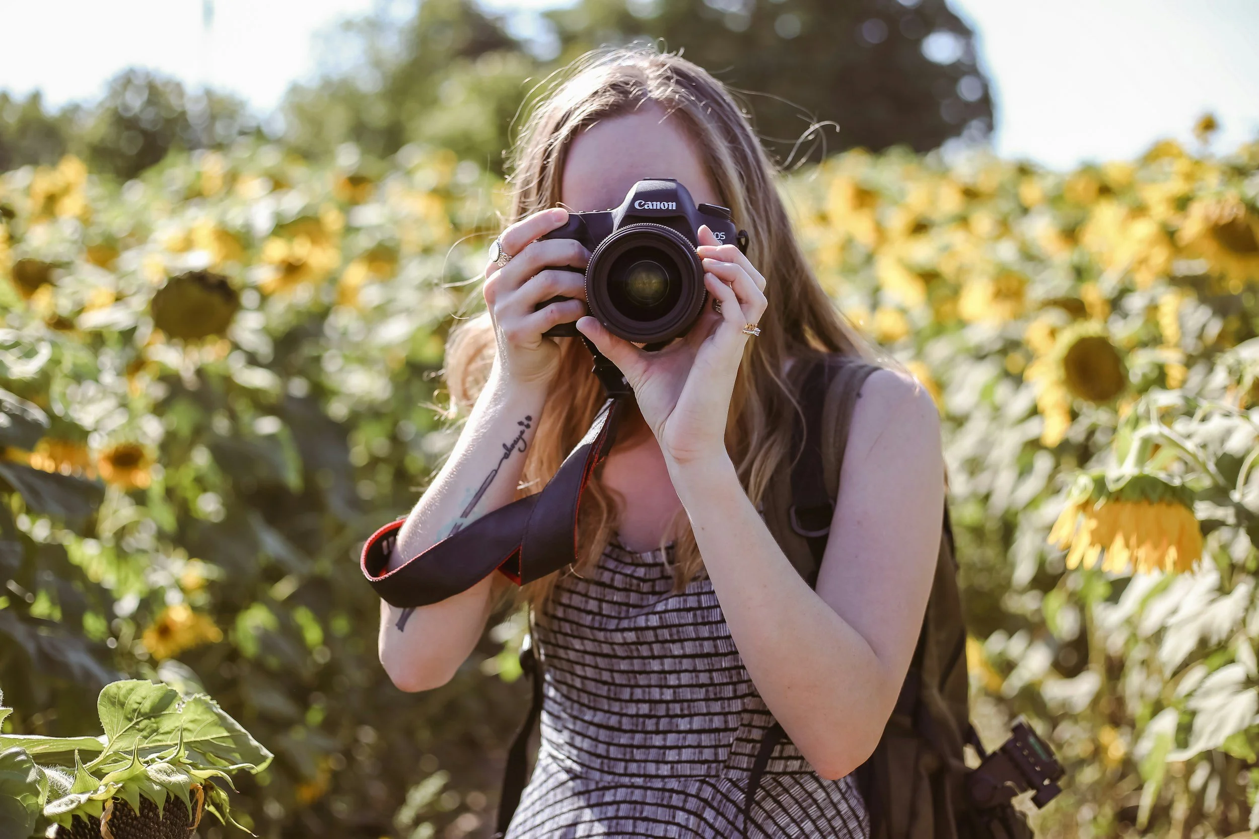 Sunflower Photoshoot 2027