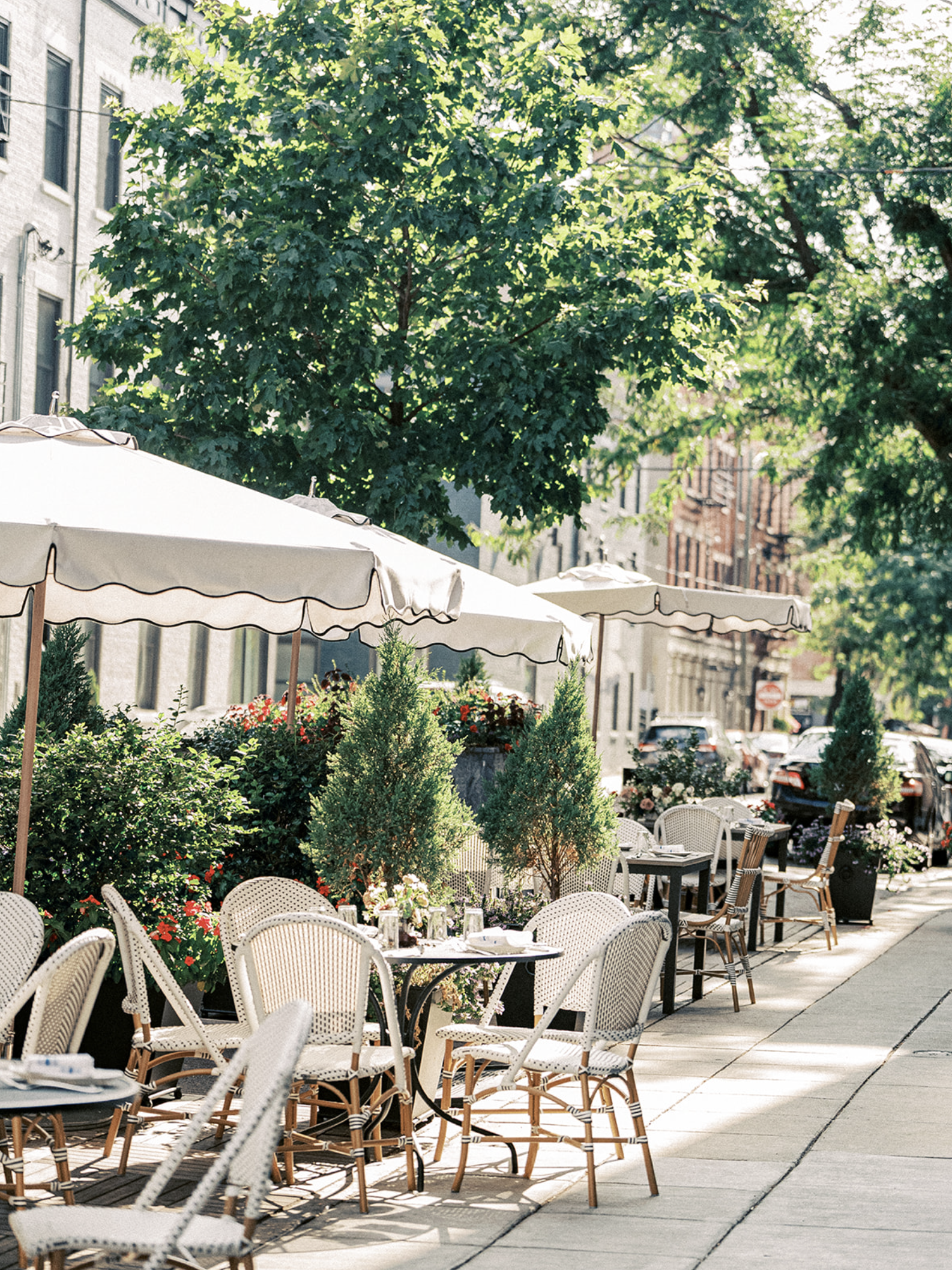 Screenshot 2026-02-25 at 6.03.27 PM.png