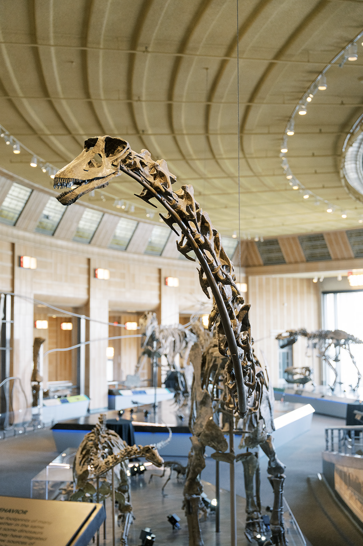 Screenshot 2026-02-25 at 5.36.41 PM.png