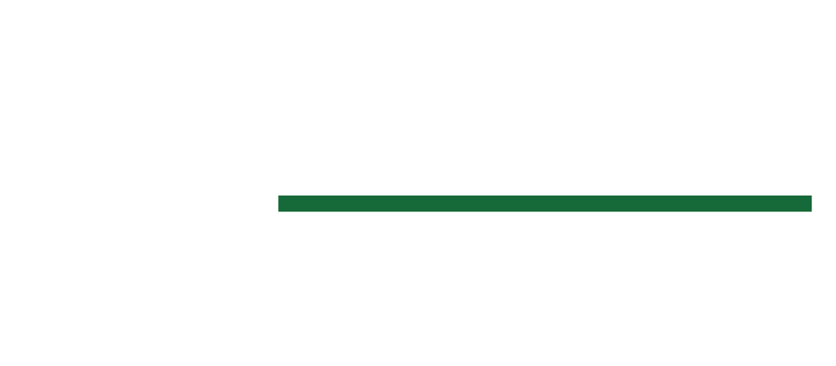 Bison Oil &amp; Gas