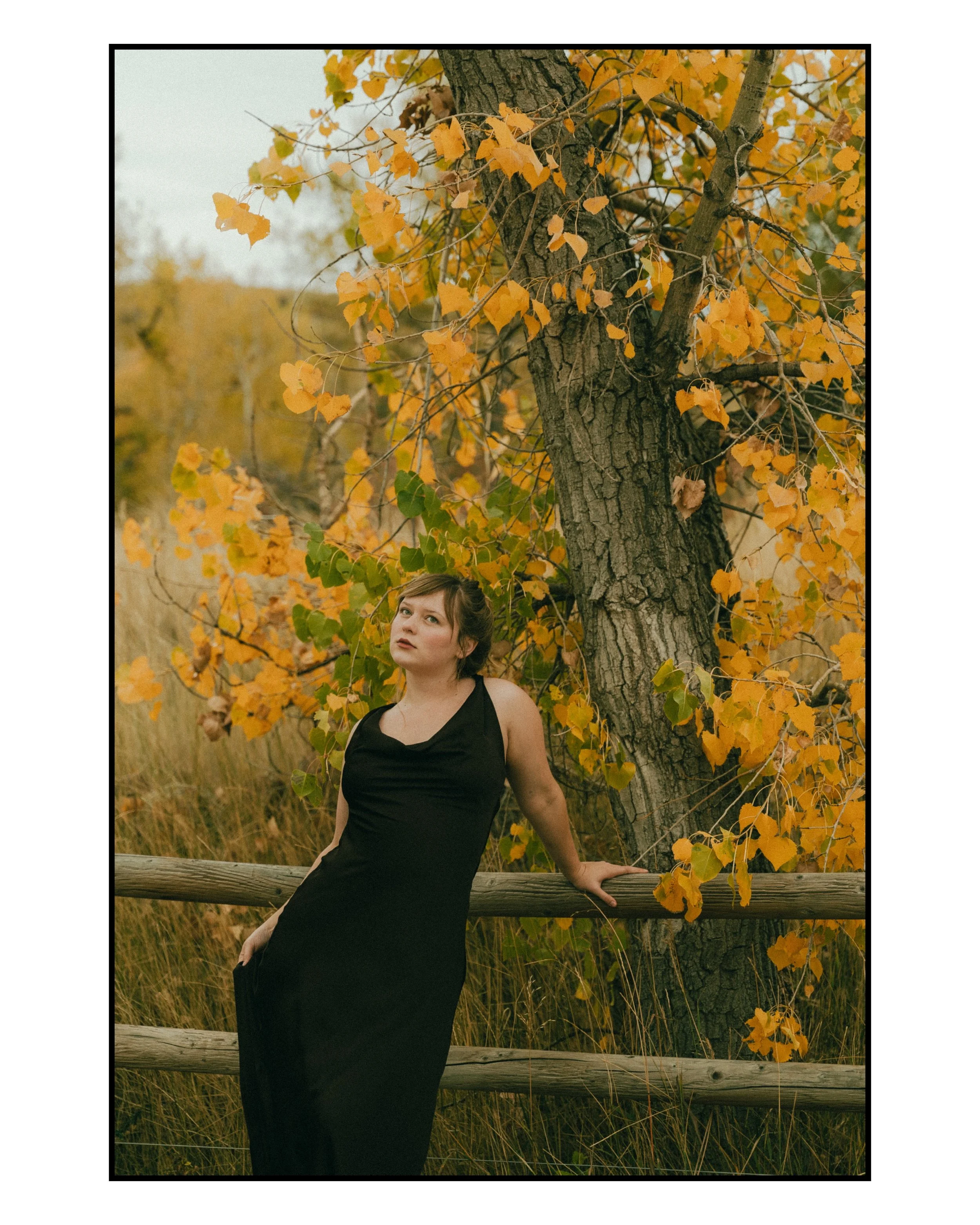  Fall senior portraits at South Mesa Trailhead in Boulder, Colorado featuring girl sitting in golden field.   