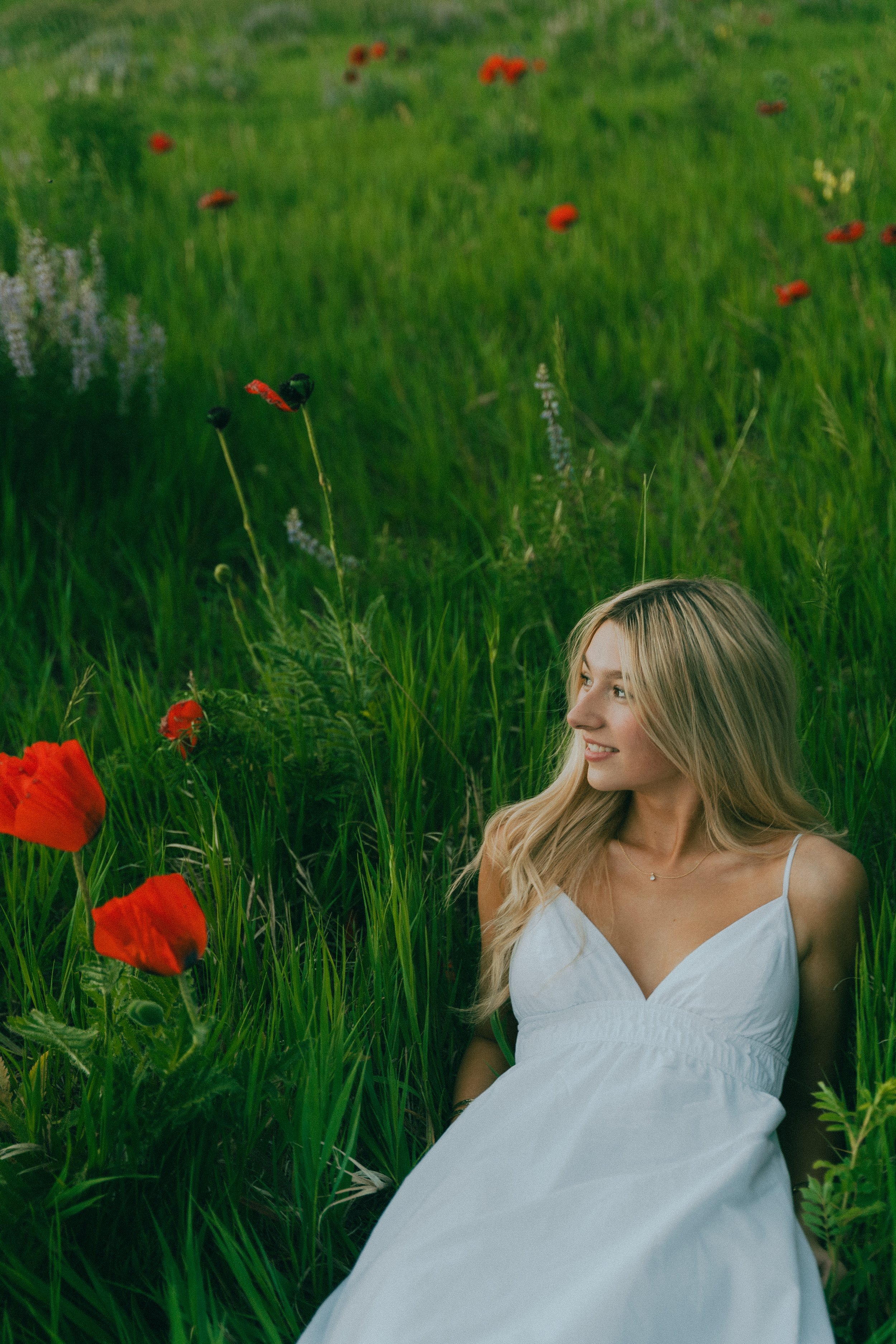  Summer senior portraits at Chautauqua Park in Boulder, Colorado on a windy day with mountain views.   