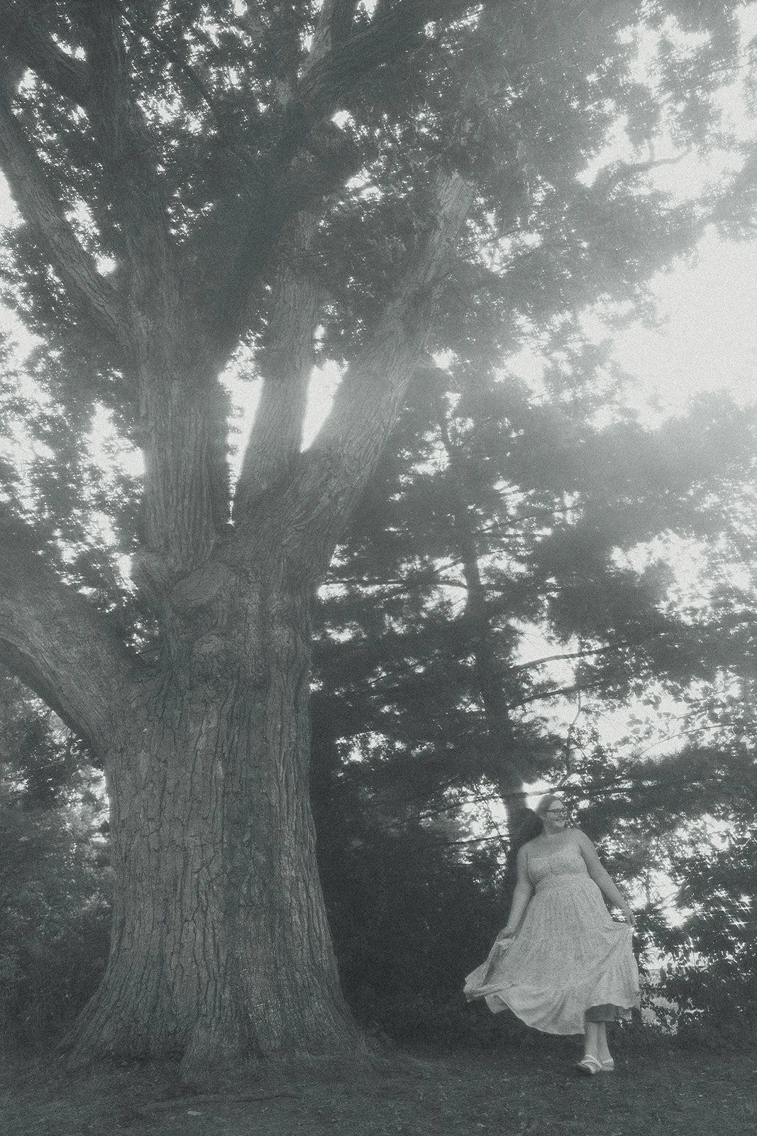 senior girl under a big tree in boulder, colorado for senior photos