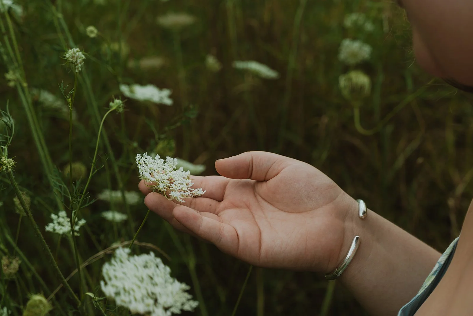 senior photos of a girl holding a flower in boulder, colorado