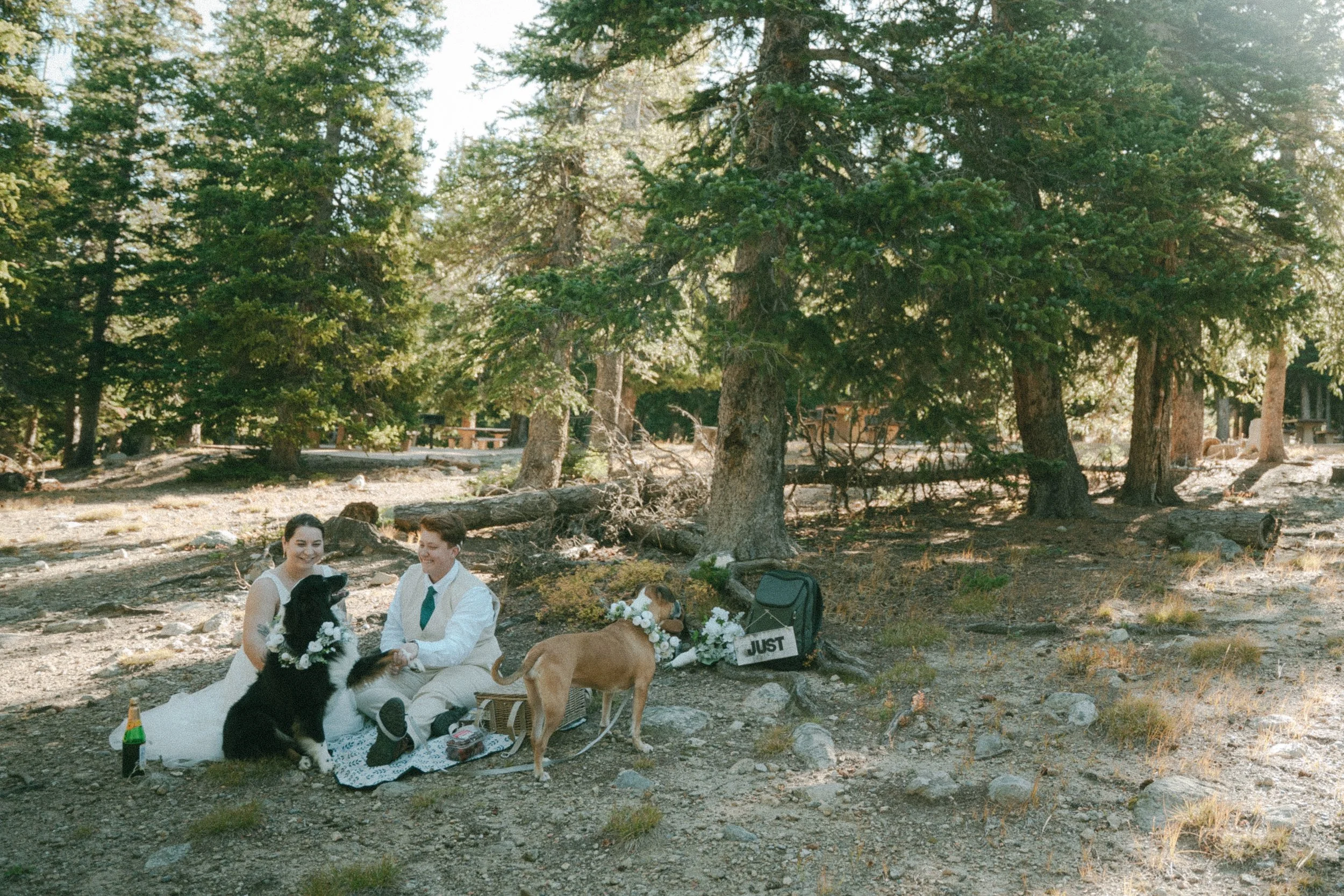 Colorado elopement photographer, Brainard Lake elopement, Colorado wedding photography, Colorado mountain wedding, Brainard Lake wedding photos, intimate Colorado wedding, adventure elopement photographer, dog-friendly elopement Colorado