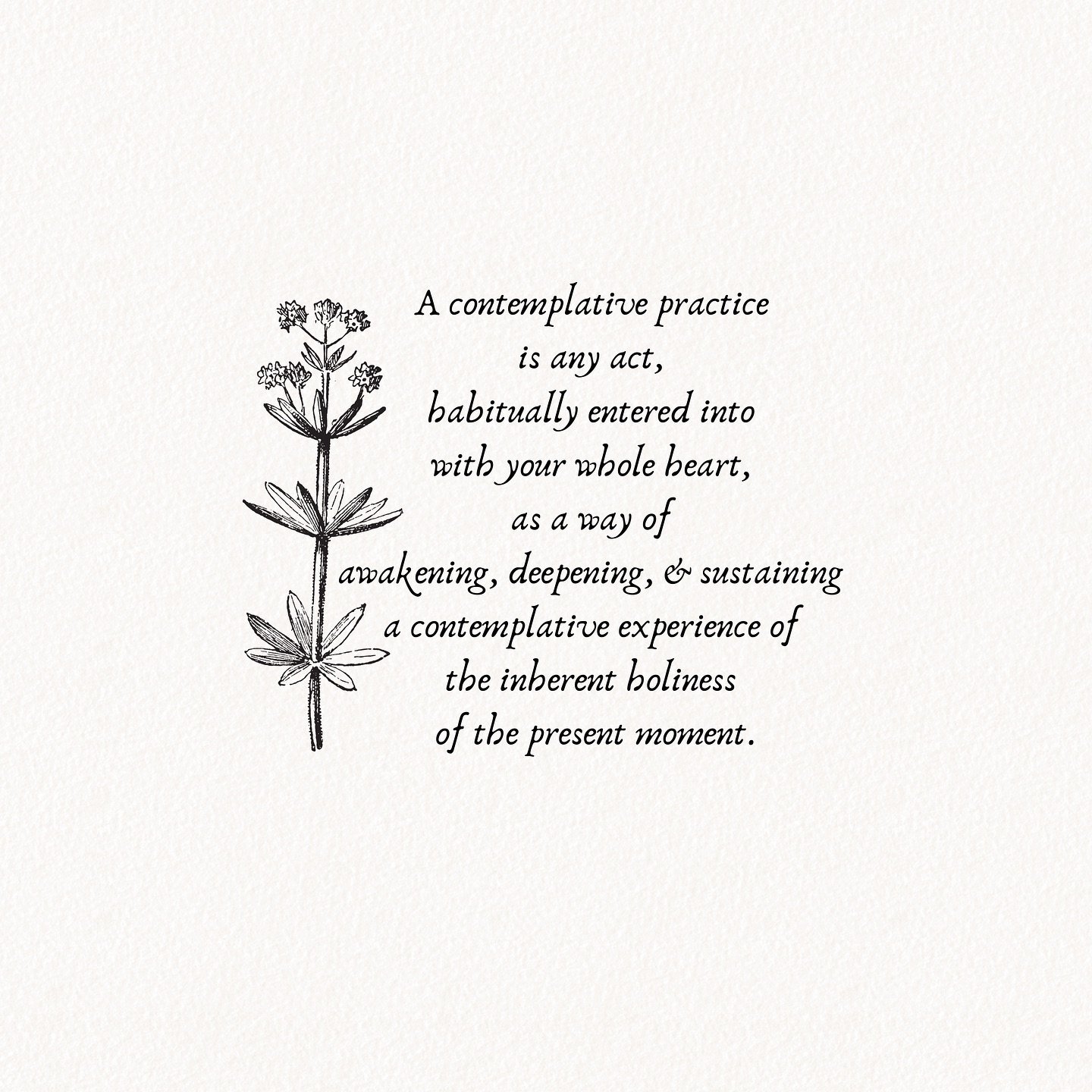 &ldquo;A contemplative practice is any act, habitually entered into with your whole heart, as a way of awakening, deepening, and sustaining a contemplative experience of the inherent holiness of the present moment. Your practice might be some form of