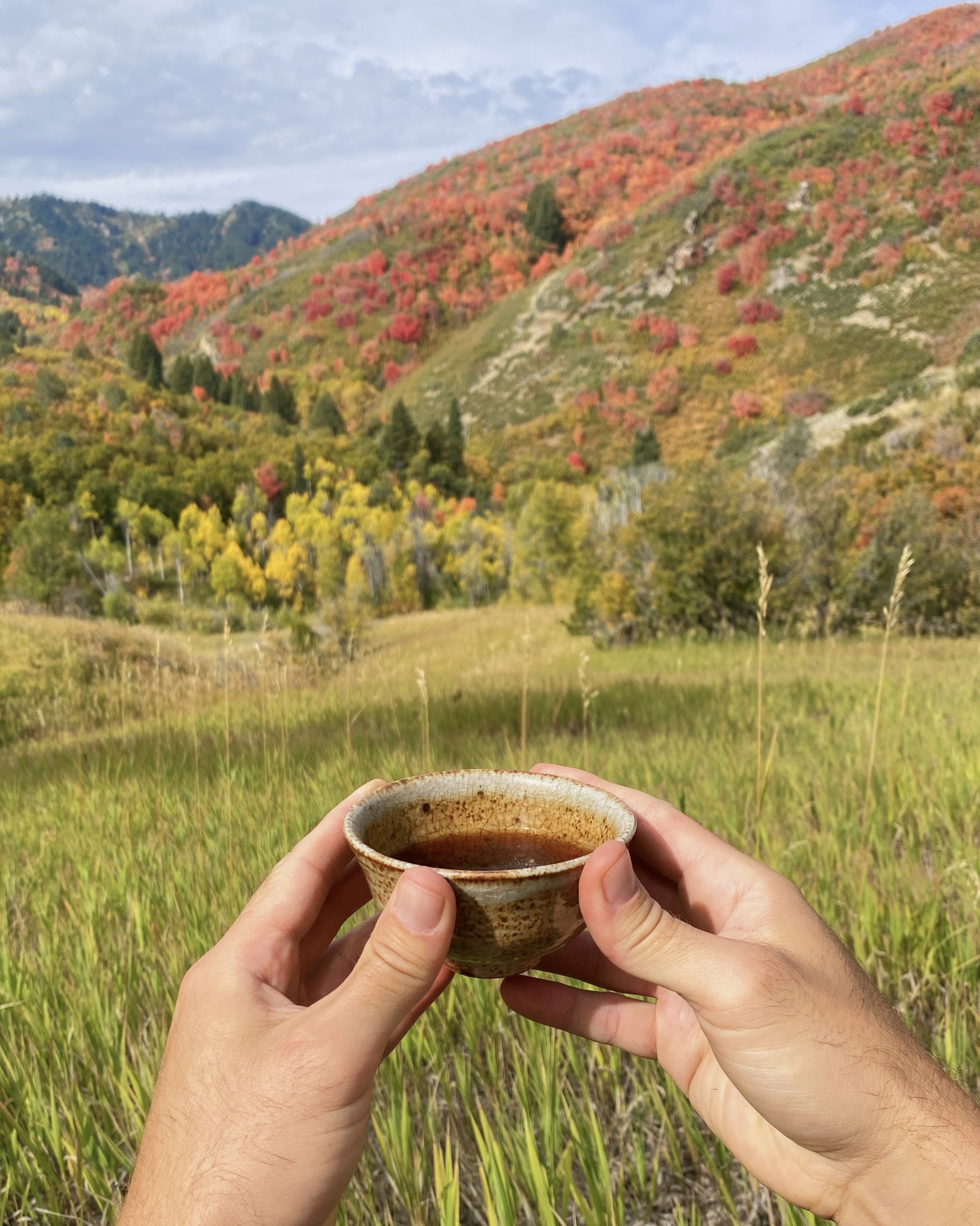 Autumnal Outdoor Tea Ceremony