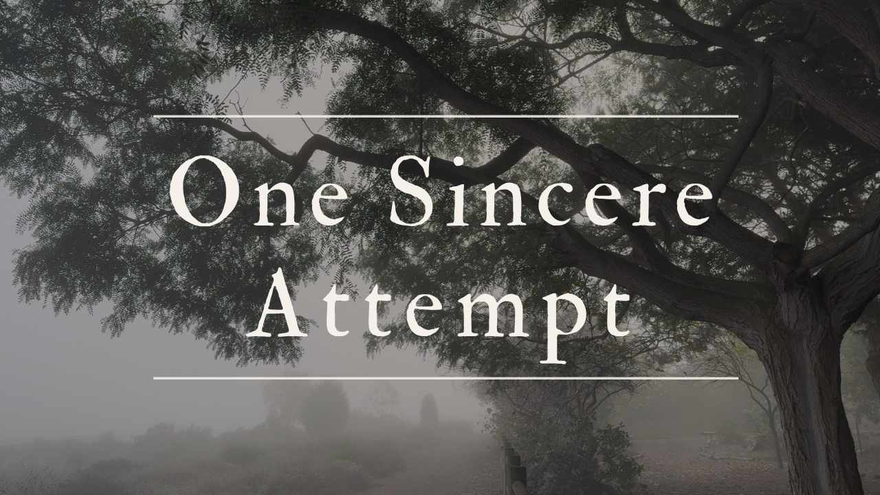 One sincere attempt film cover