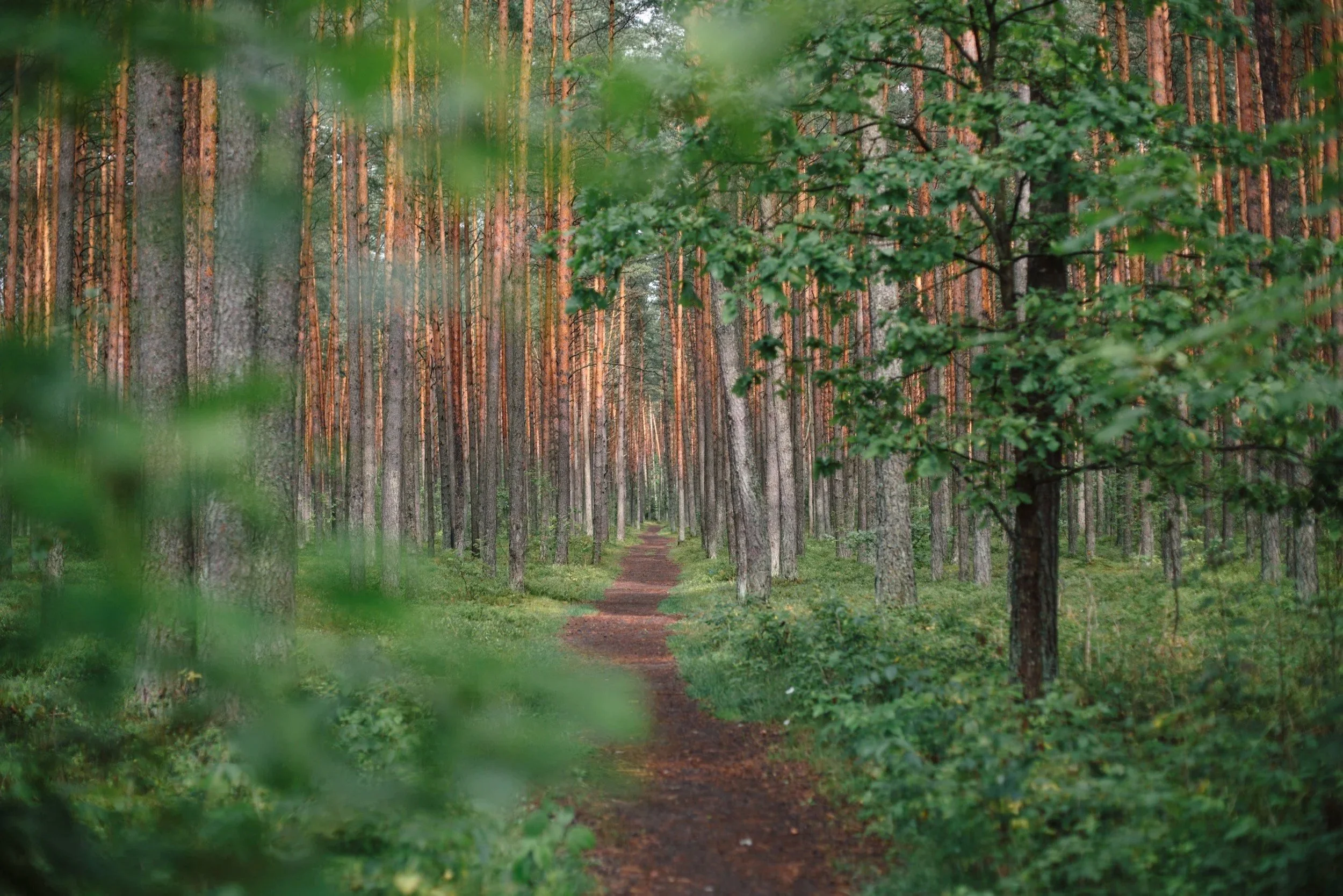 contemplative path