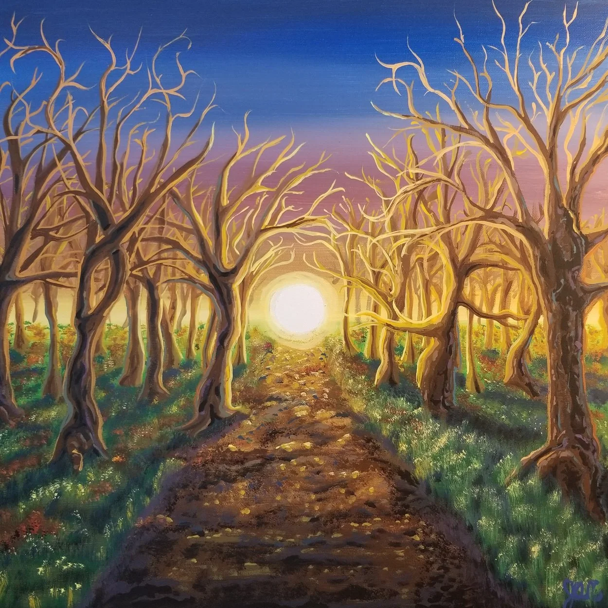 Path to the Light