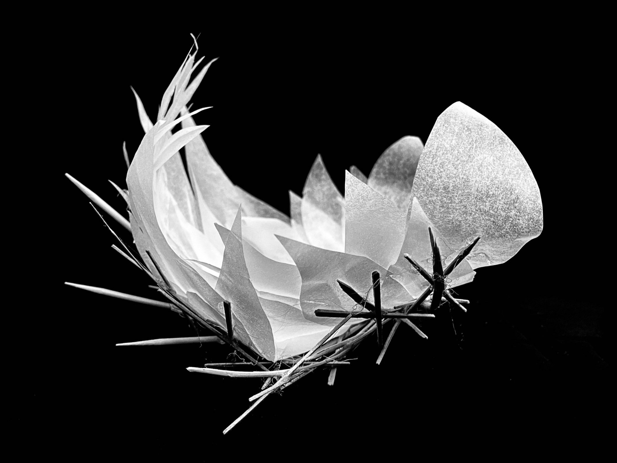 F21_111B_karlen_boero-lillie_2.0SketchModel3-image1+%281%29.jpg