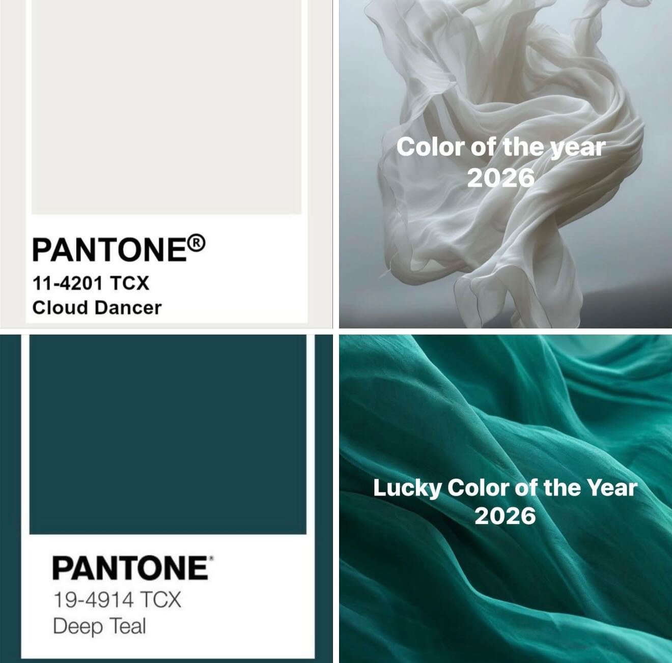 ✨ Introducing Pantone&rsquo;s 2026 Color of the Year: Cloud Dancer ✨

Soft, luxurious, and effortlessly clean &mdash; Cloud Dancer is the perfect canvas for any event. Its warm, elegant white pairs beautifully with every color palette, making it a dr