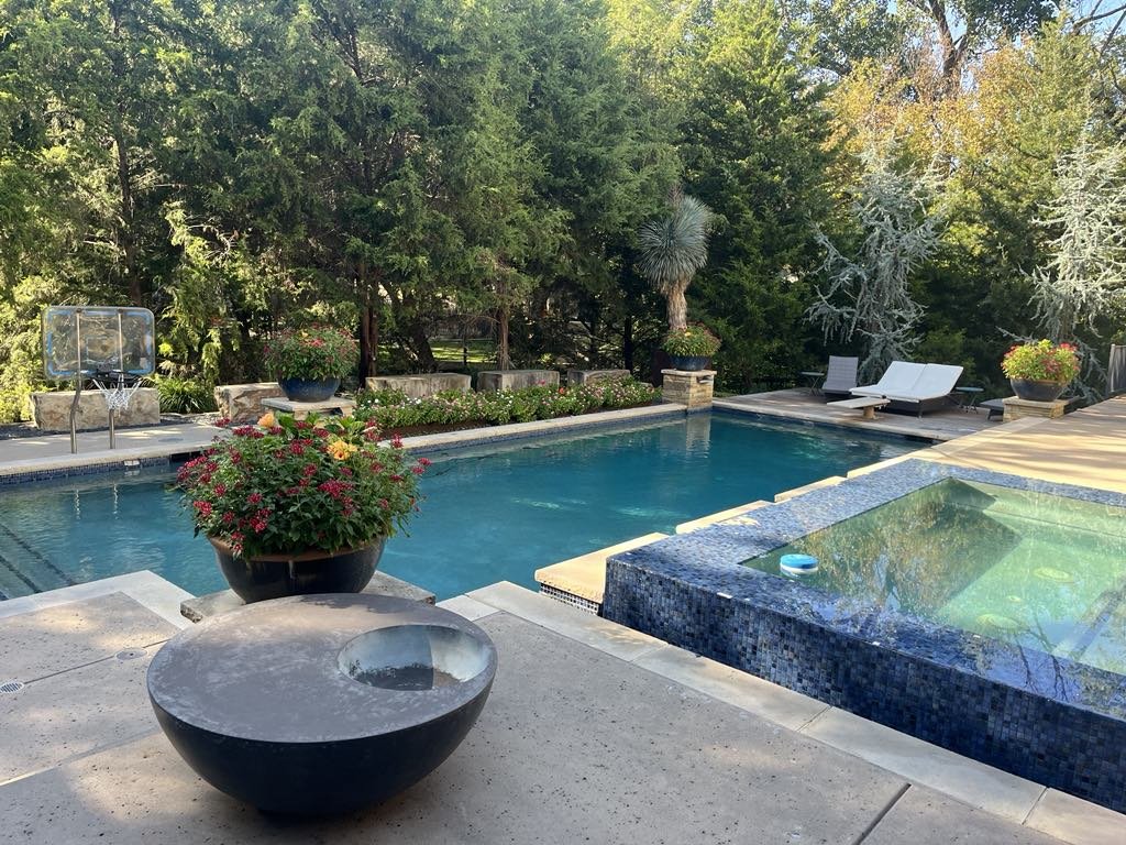 giorasbackyardflowers.jfif