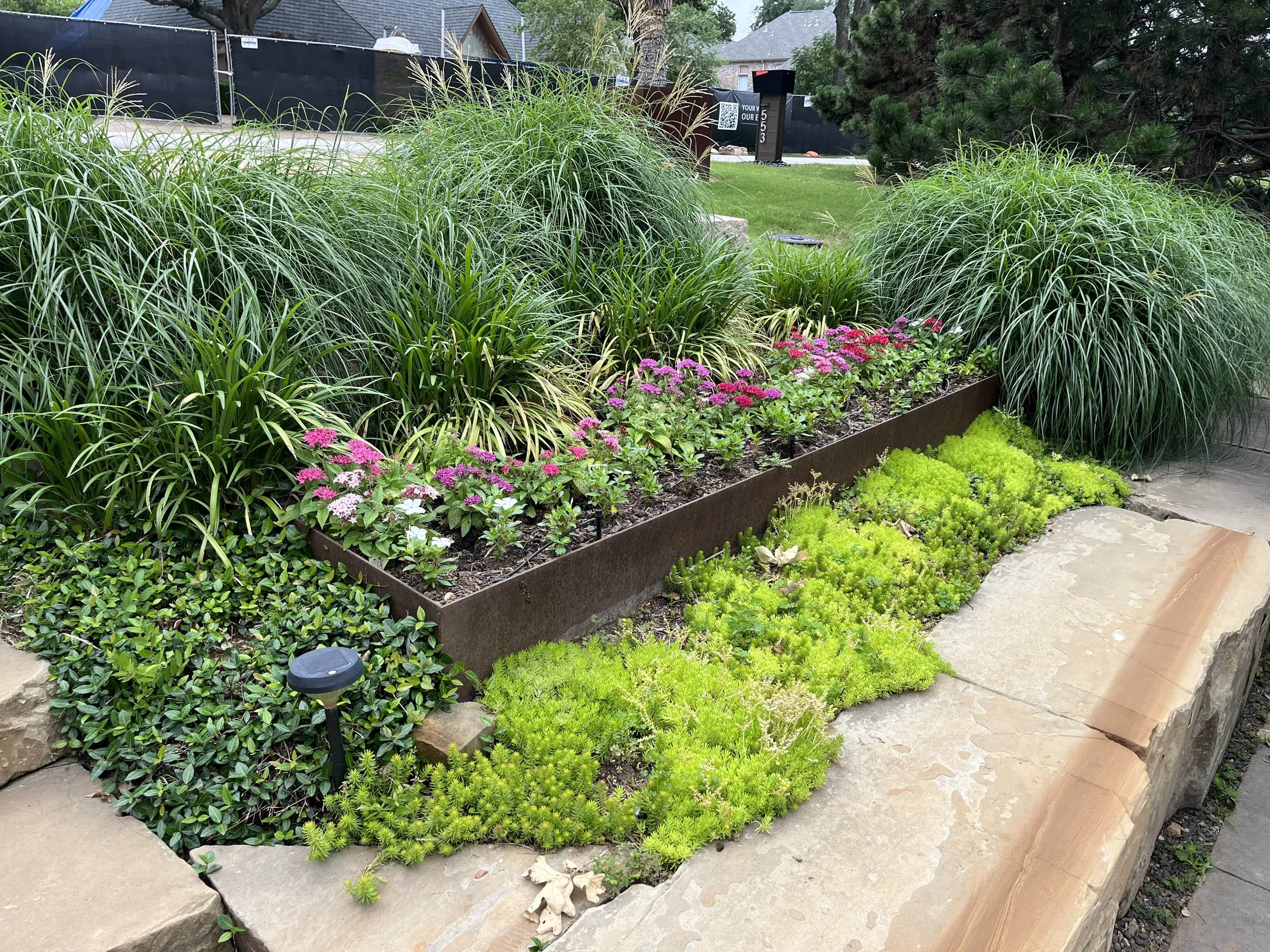 planter_best__.jpg