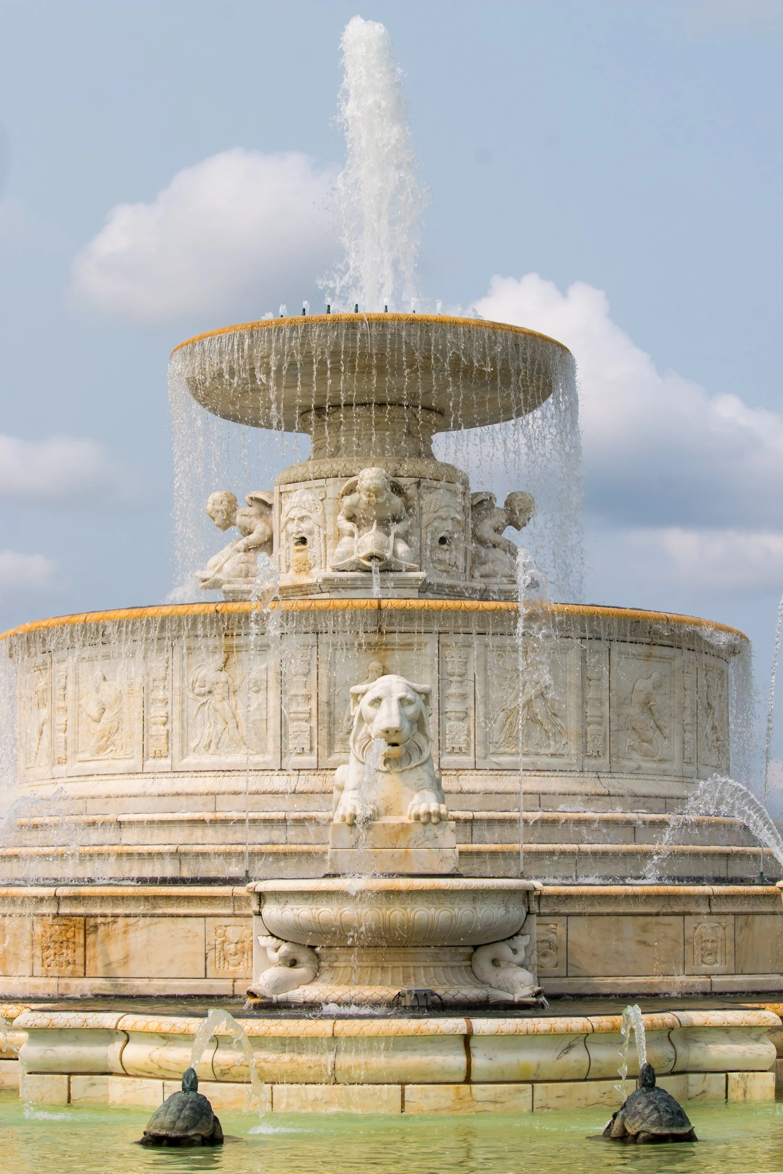 The Tale of Two Irenes: White When Needed