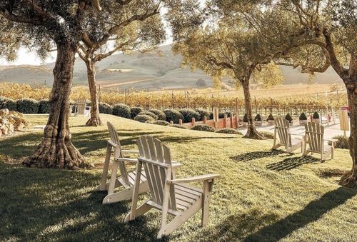 Viansa Winery in Sonoma