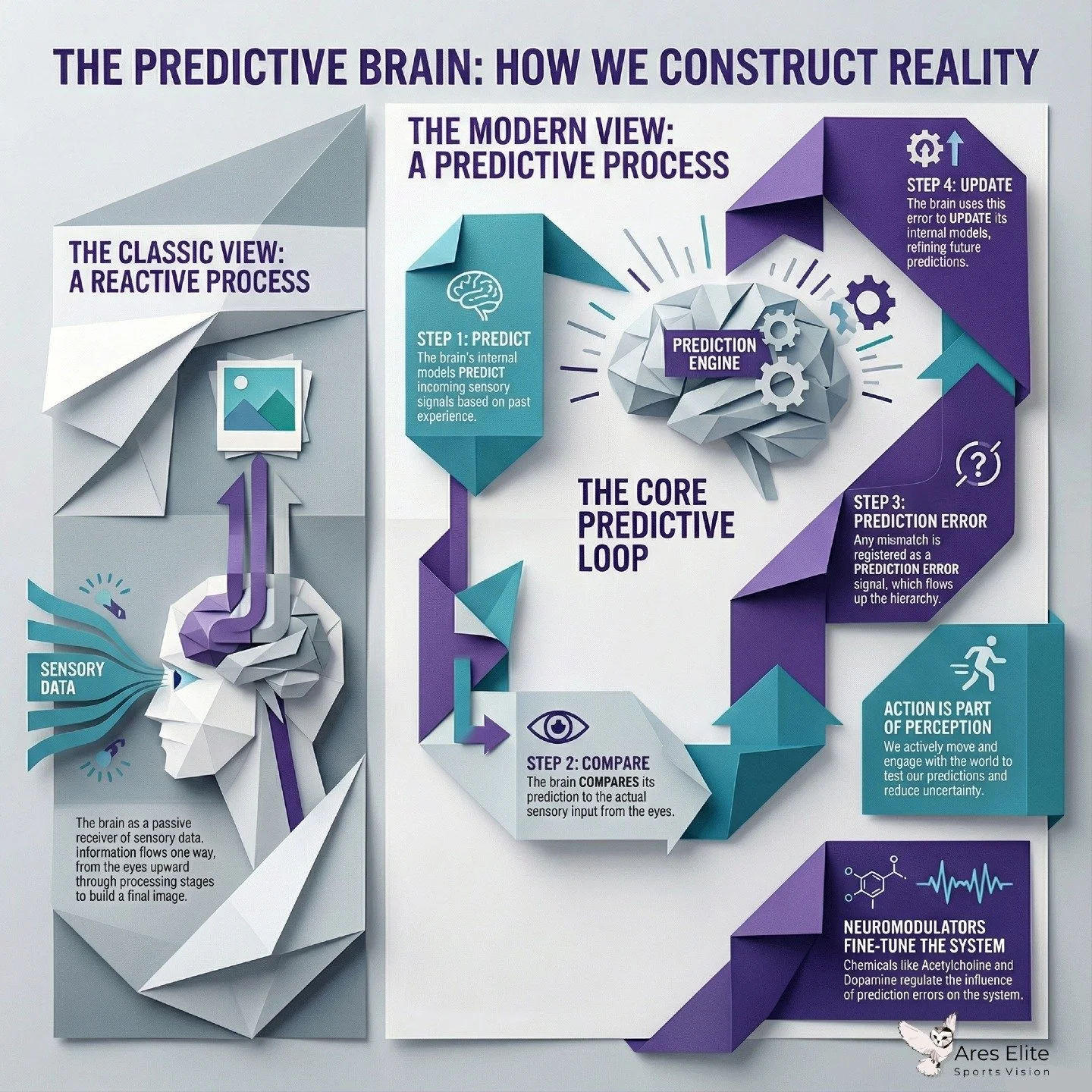 Your brain doesn&rsquo;t wait to see what happens.
It predicts it.

Vision is a continuous loop of prediction, comparison, and correction.
The eyes send data, but the brain is already guessing what should be there, then updating in real time.

This i