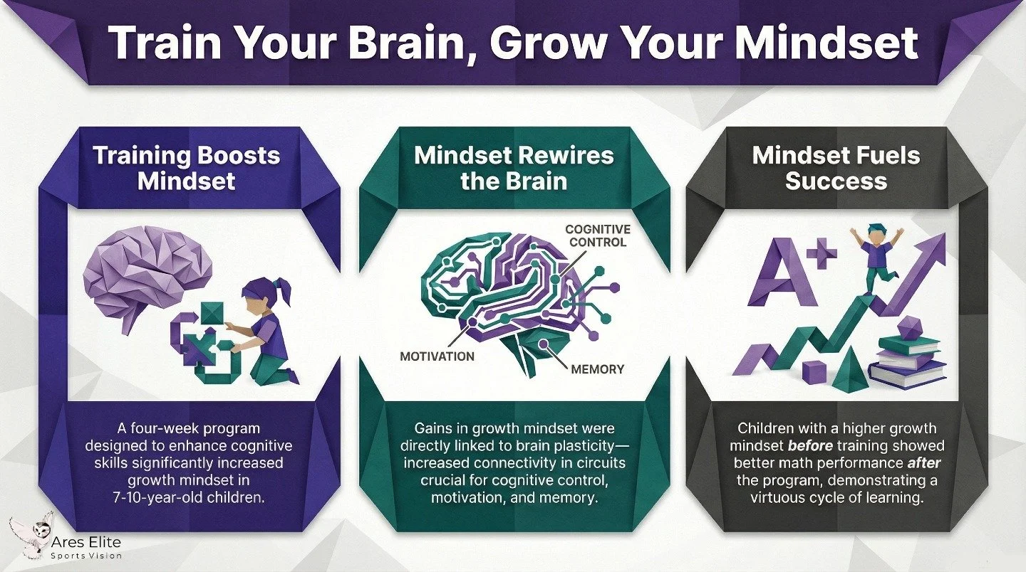 Mindset is not motivation. It is brain wiring.

When cognitive training improves attention, memory, and control, the brain physically rewires itself. That rewiring strengthens growth mindset, learning speed, and performance under pressure.

Performan