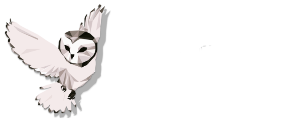 Ares Elite Sports Vision