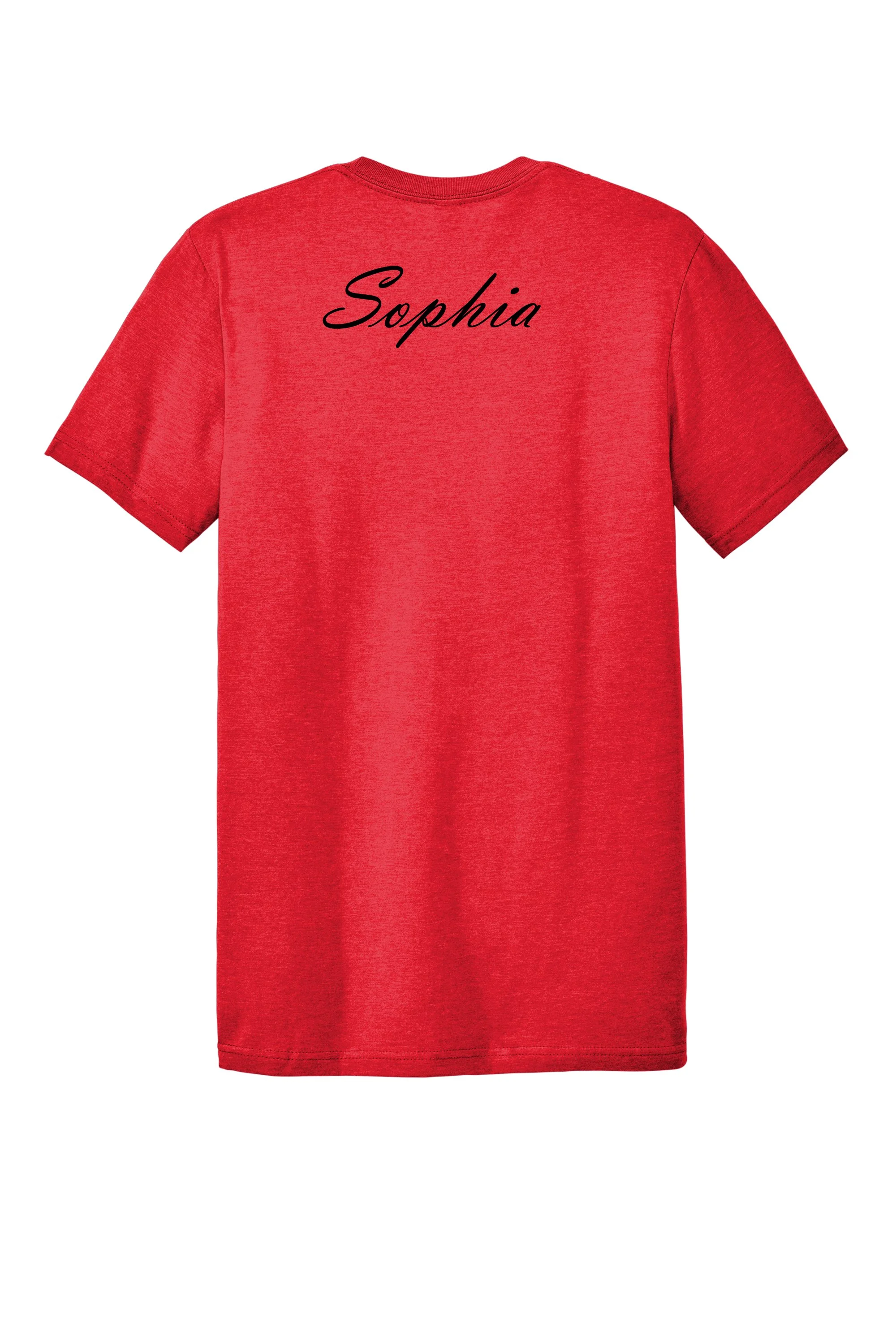 Ballies Red Shirt Back (1).jpg