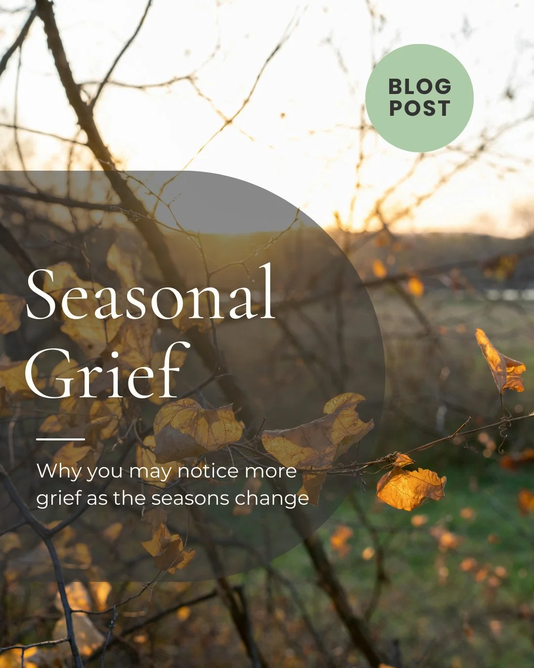 Today is the first day of autumn, and so I'm sharing a blog post on why grief can resurface or seem suddenly worse when the seasons change.⁠
⁠
Honestly, when I wrote this, I didn't realize it was such a common thing, but this post is always the most 
