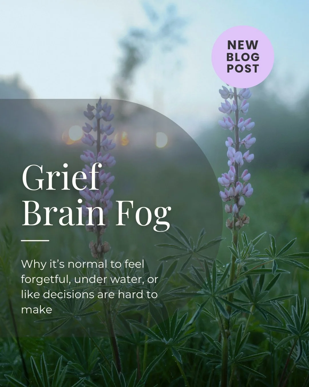 You're not losing your mind. You're grieving.⁠
⁠
Did you forget why you walked into the kitchen? Can't remember what someone just told you? Lost your keys for the third time this week?⁠
⁠
This is grief brain fog, and it's completely normal.⁠
⁠
Your b