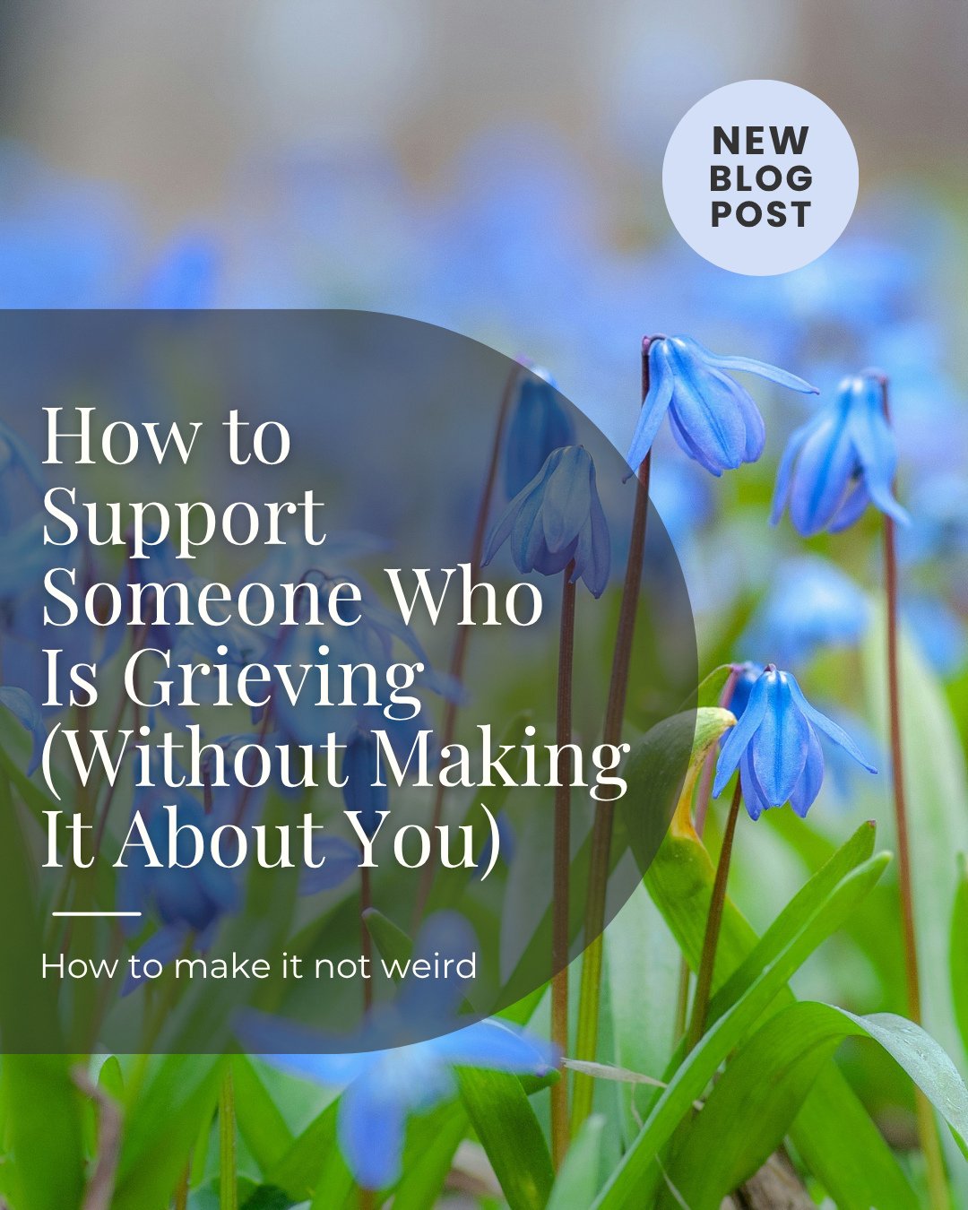 This week's blog post is about not letting our emotions interfere with our ability to support the people we care about who are grieving.⁠
⁠
I wrote about why this is so easy to do and how we can notice it before it happens and correct our course. ⁠
⁠