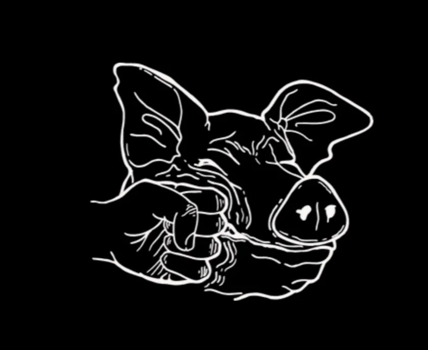 pigfxp.jpg